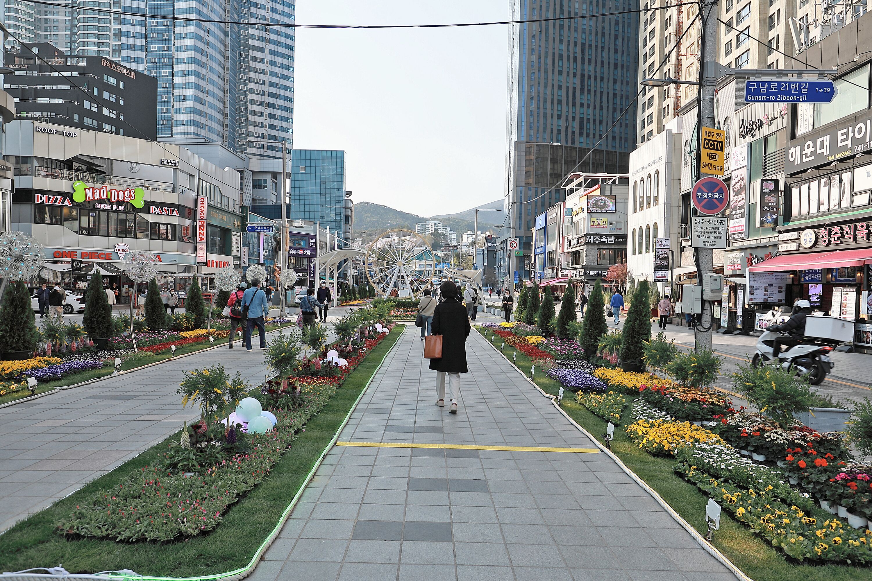 Sota Collection The Haeundae