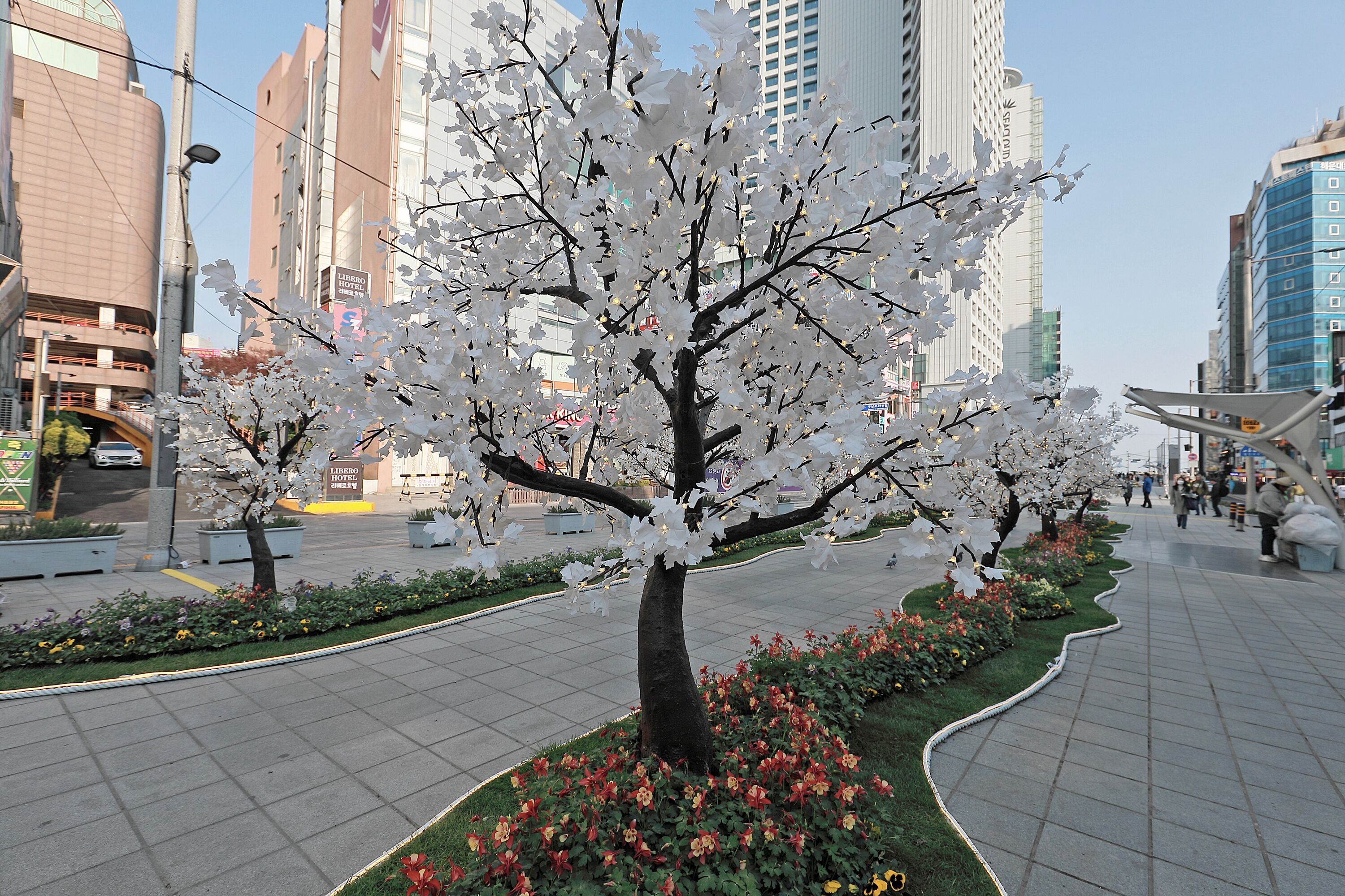 Sota Collection The Haeundae