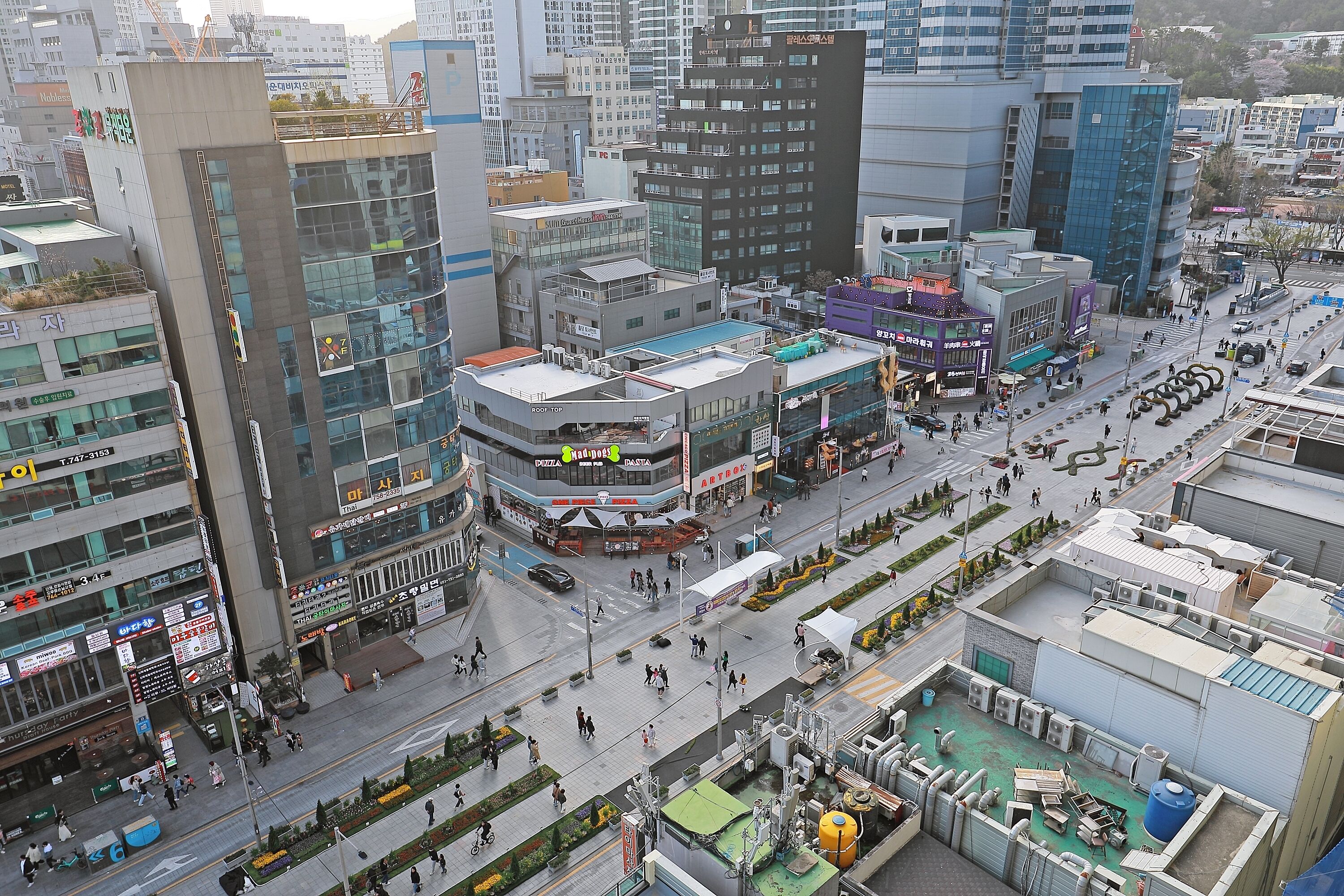 Sota Collection The Haeundae