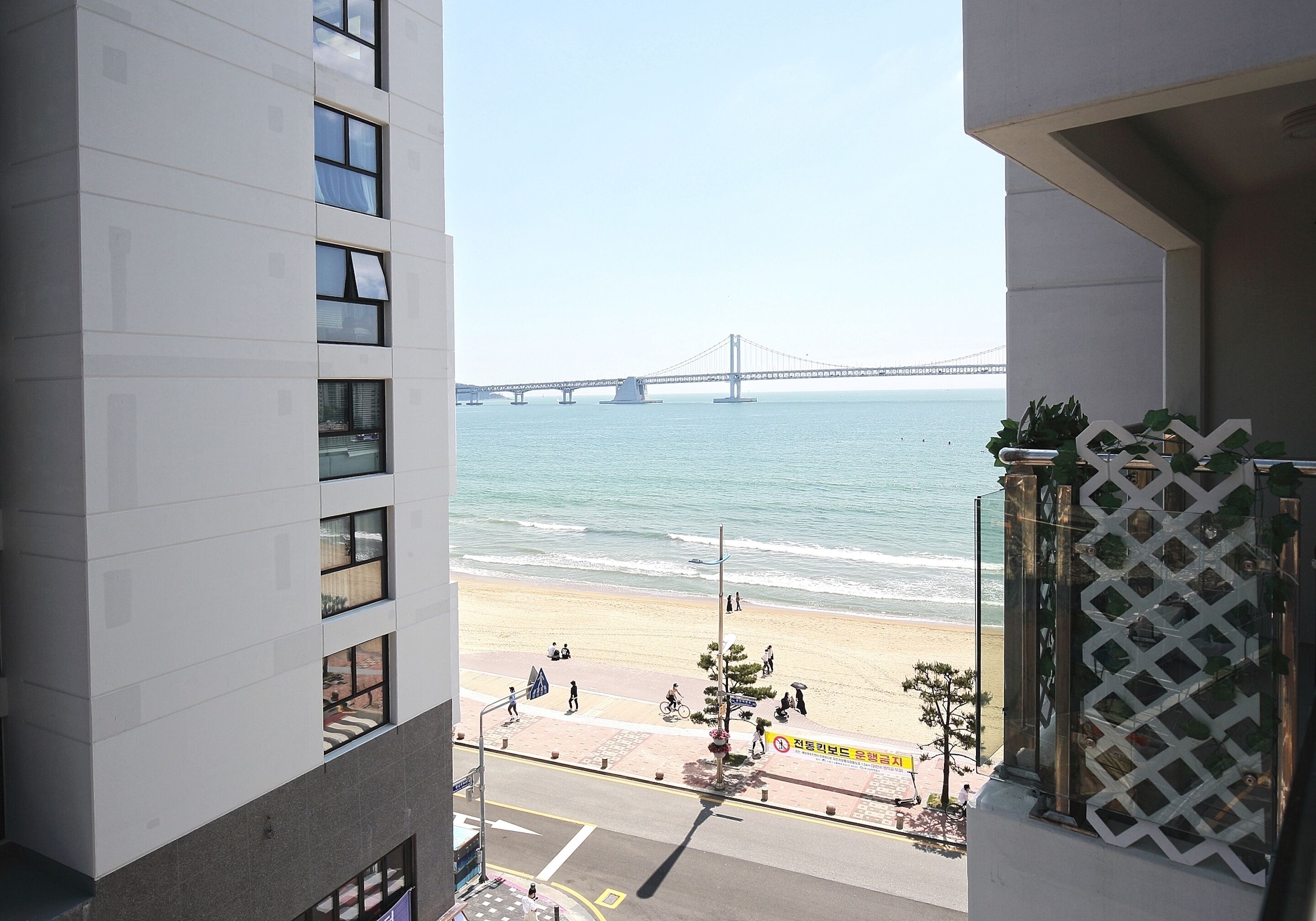 Sota Collection The Terrace