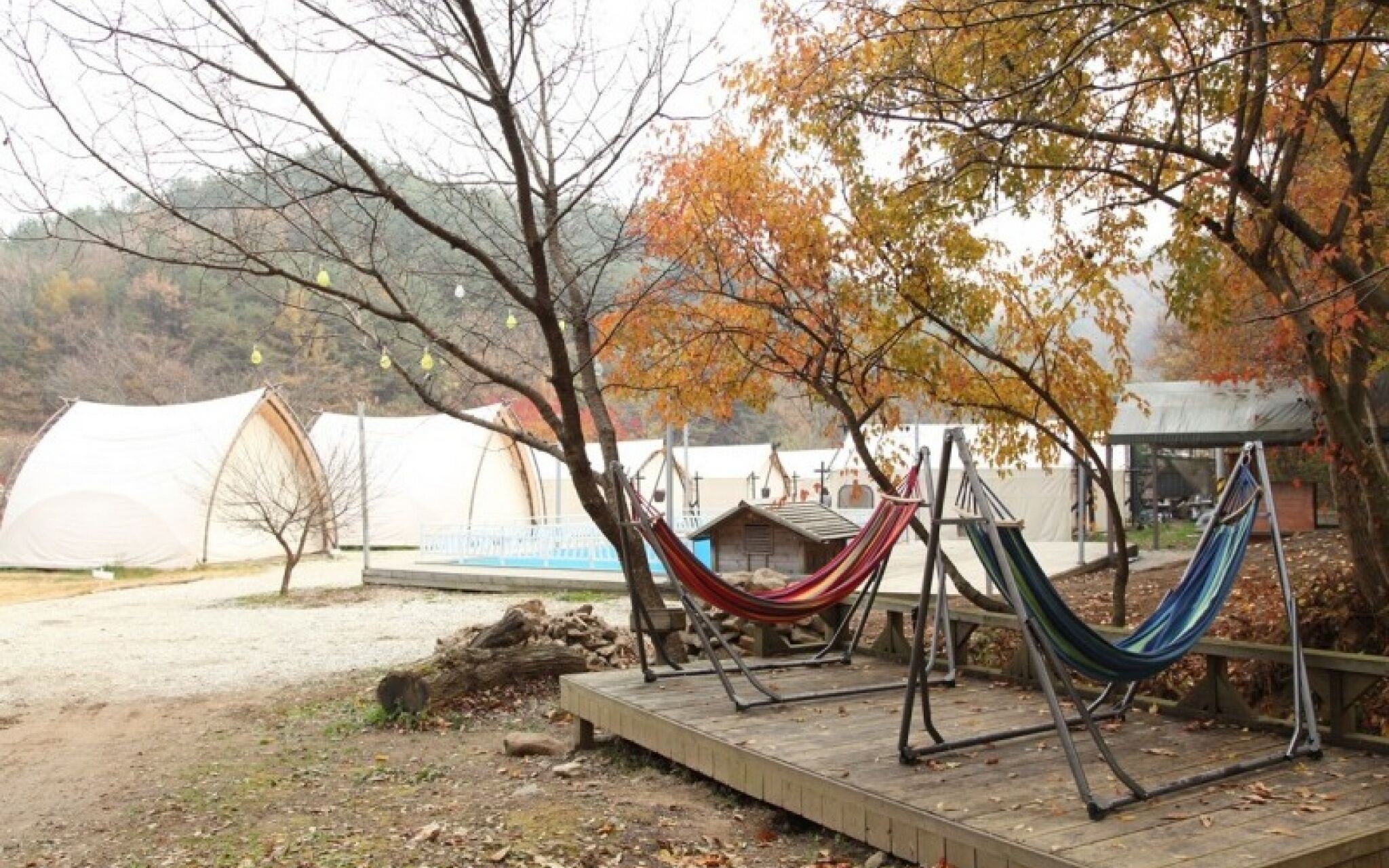 Buye Glamping Pan