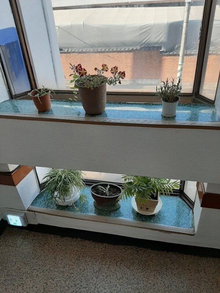 Healing House Pinkjang