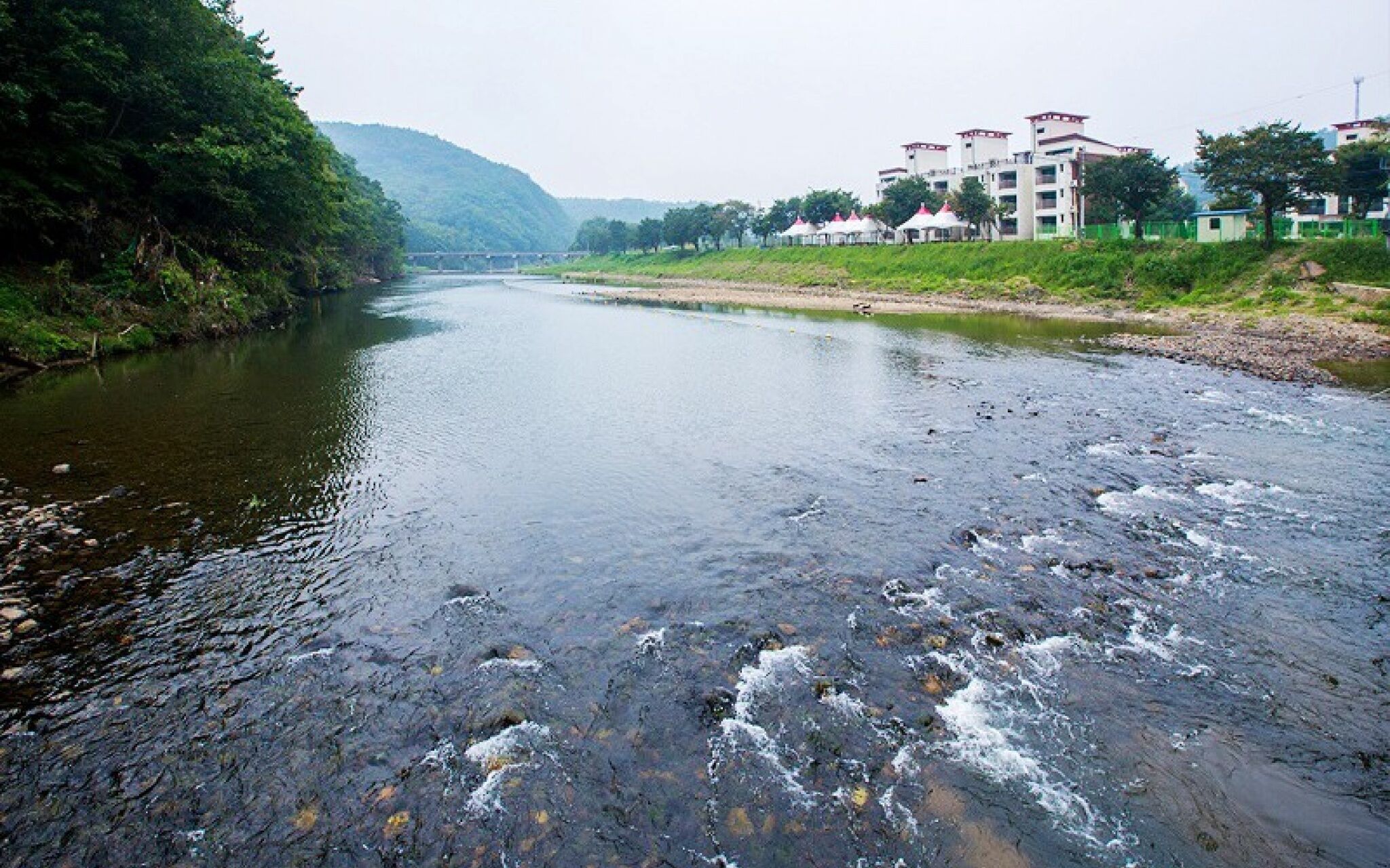 Cheongju Geumgwansup Byeoljang Pension