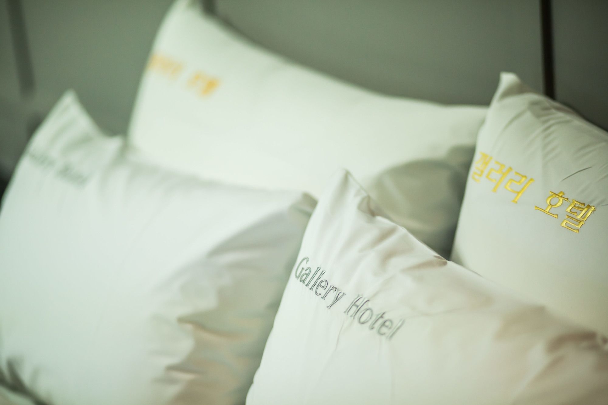 Hotel Gallery