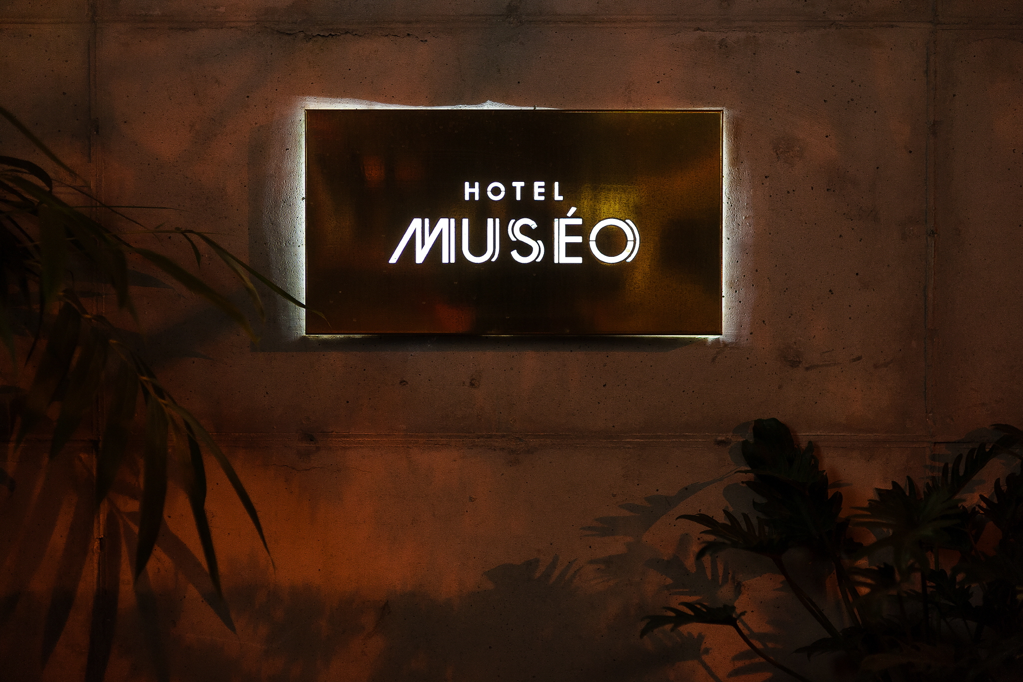 Hotel Museo