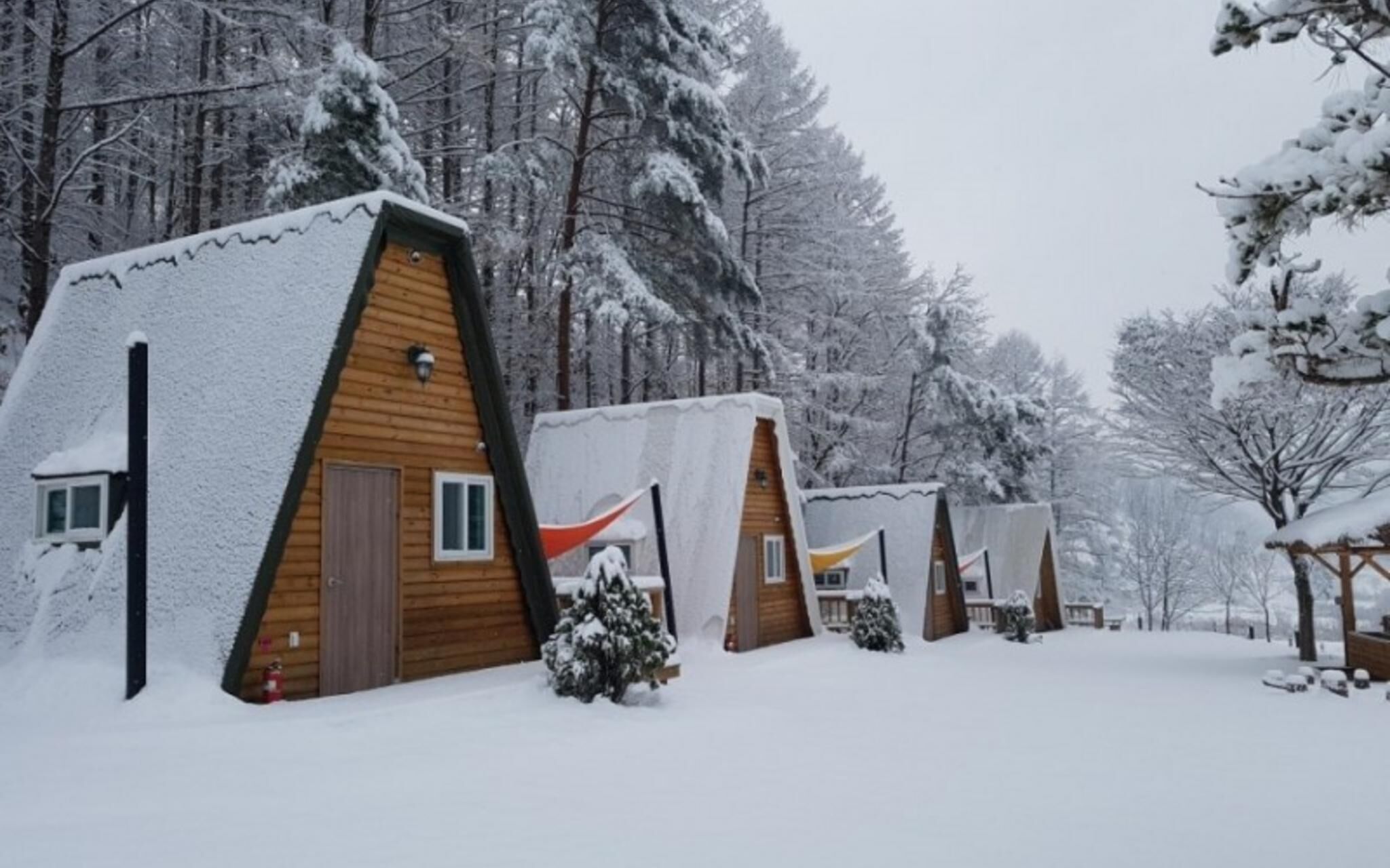 Chuncheon Buzz Glamping Pension