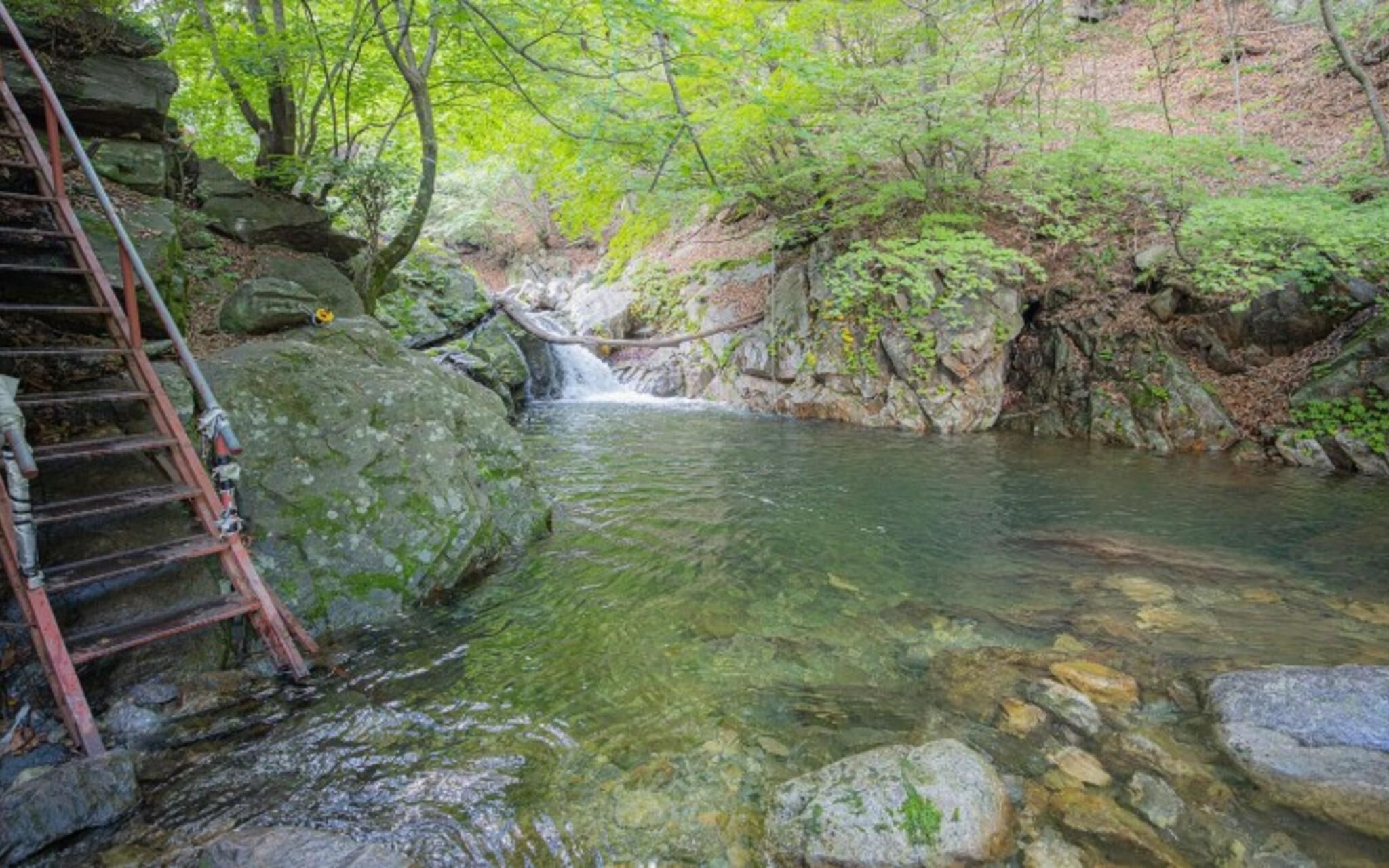 Chuncheon Byeolnim Dalnim Pension