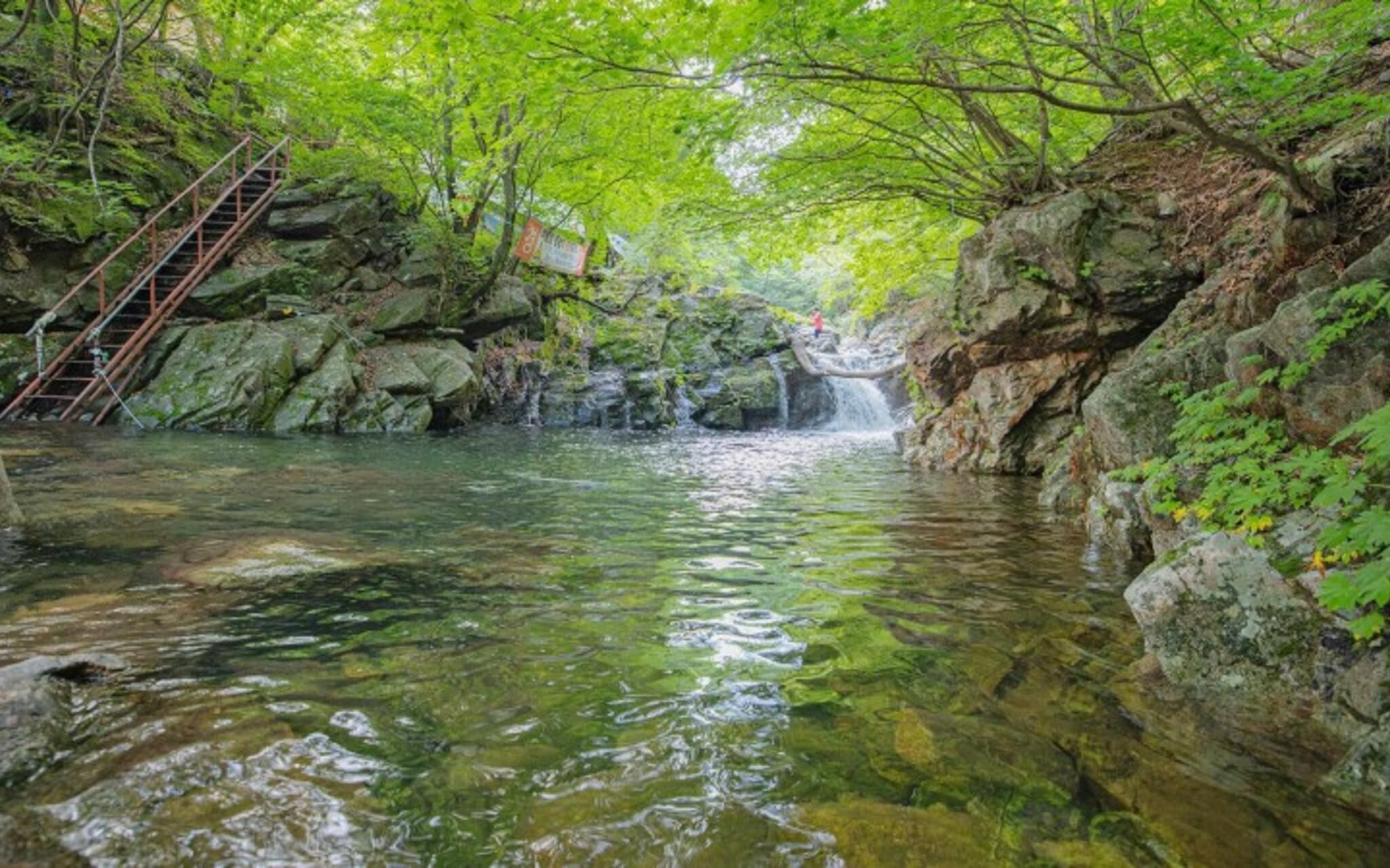 Chuncheon Byeolnim Dalnim Pension