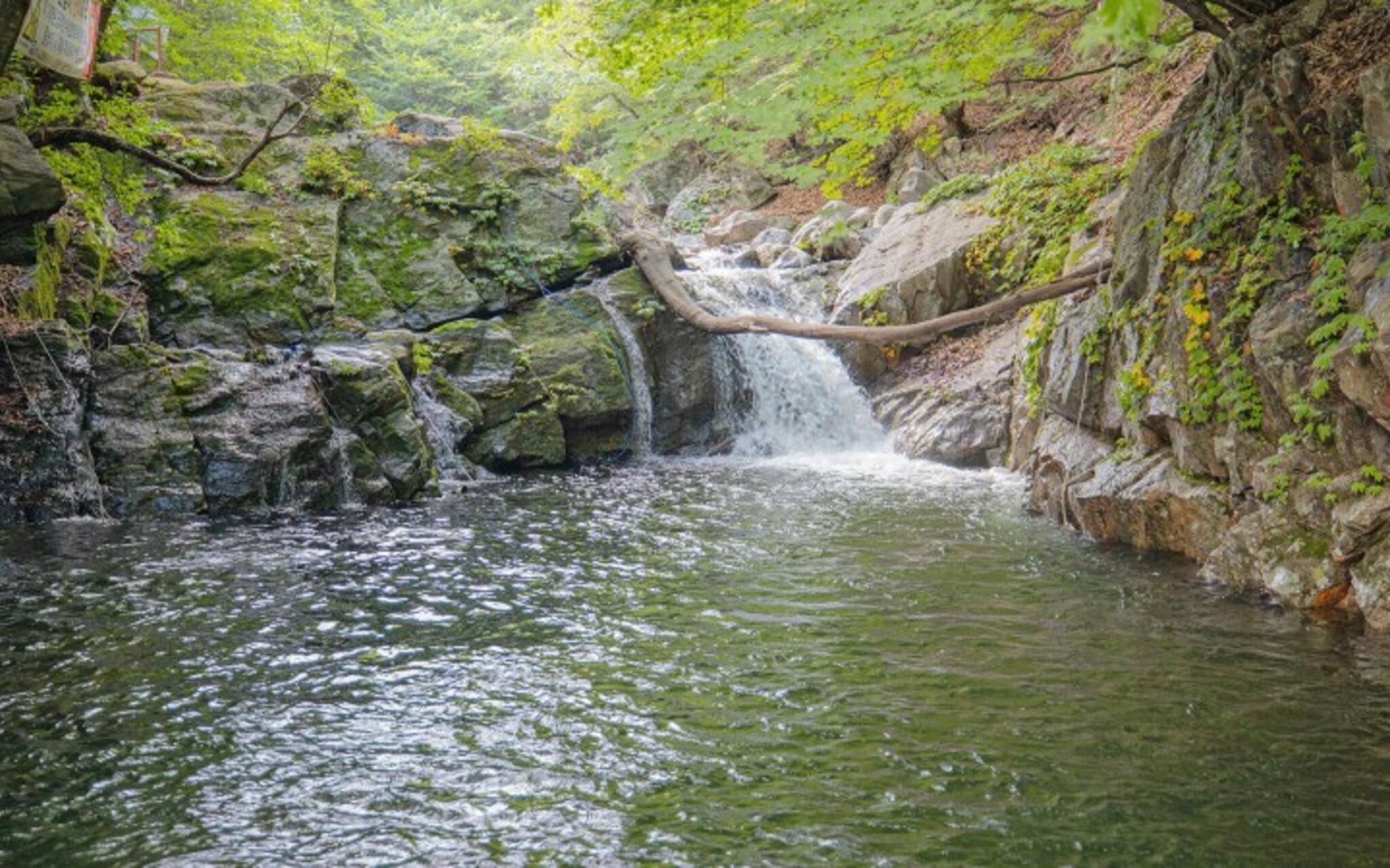 Chuncheon Byeolnim Dalnim Pension