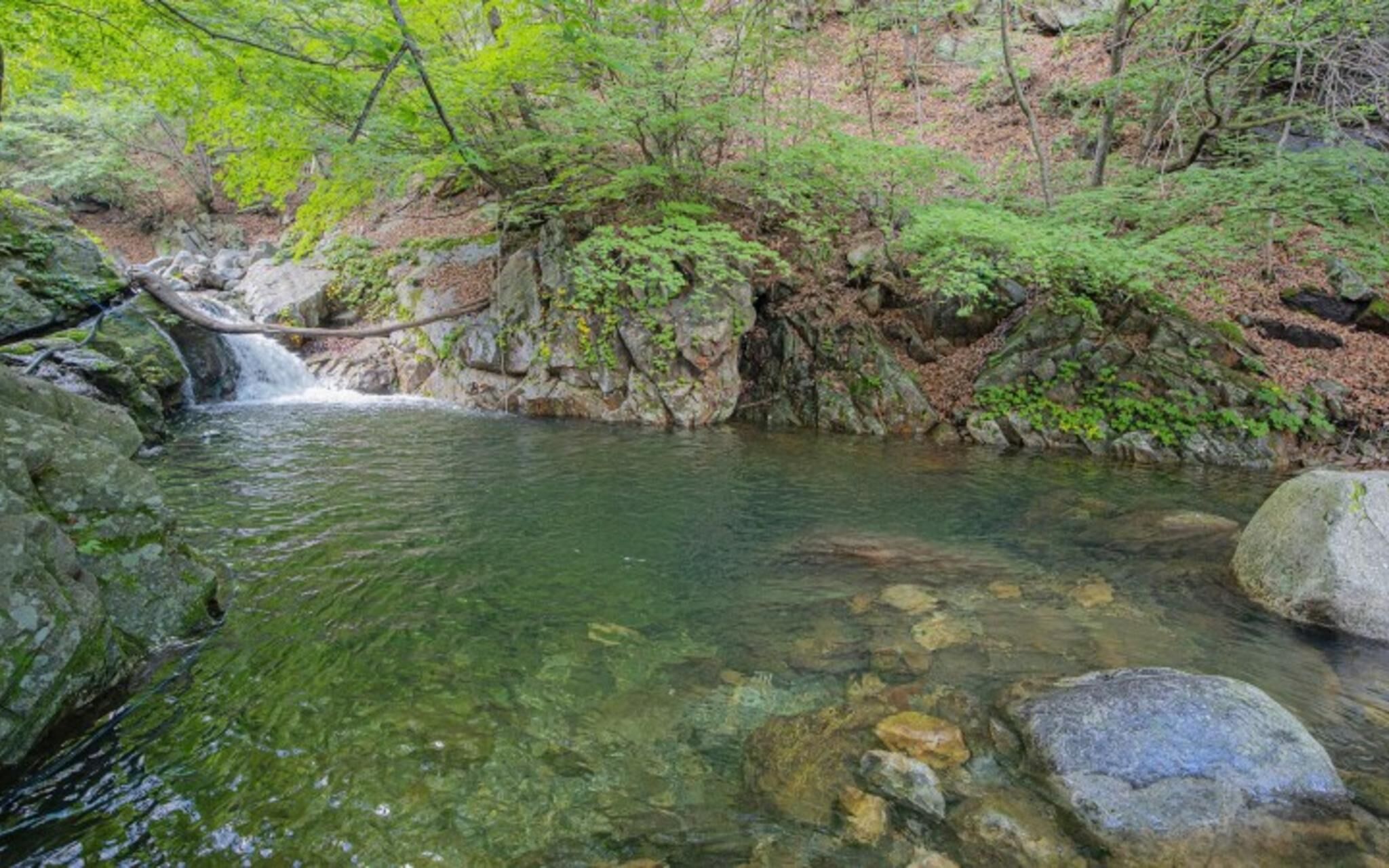 Chuncheon Byeolnim Dalnim Pension