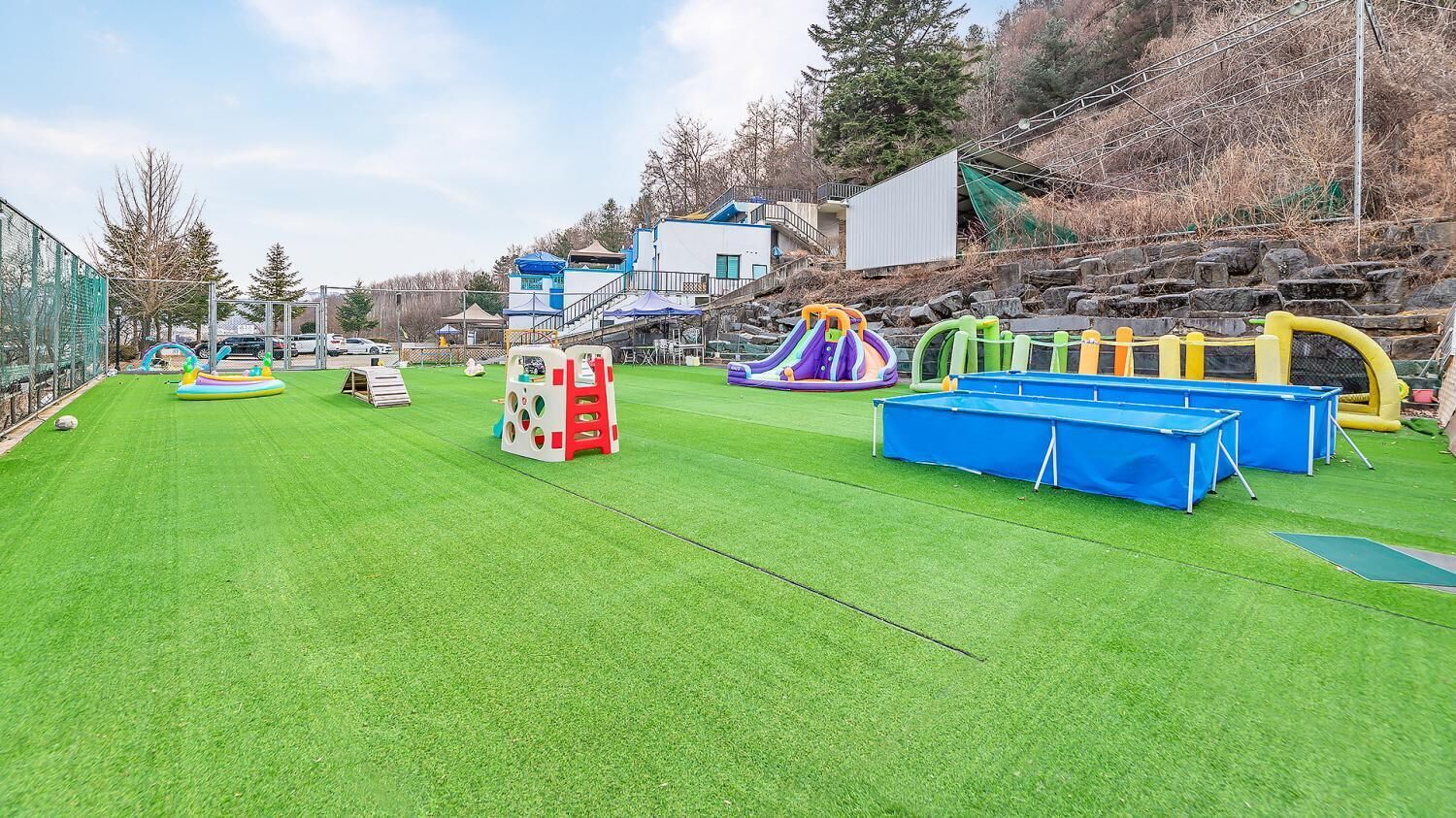 Chuncheon Dogandstay