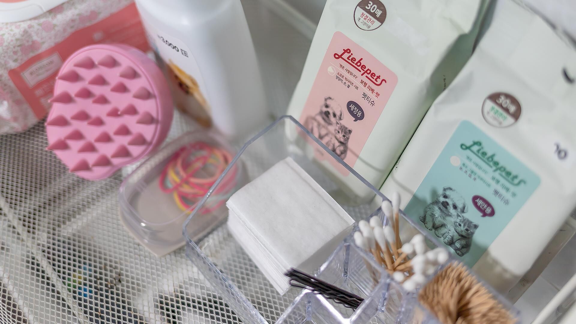 Chuncheon Dogandstay