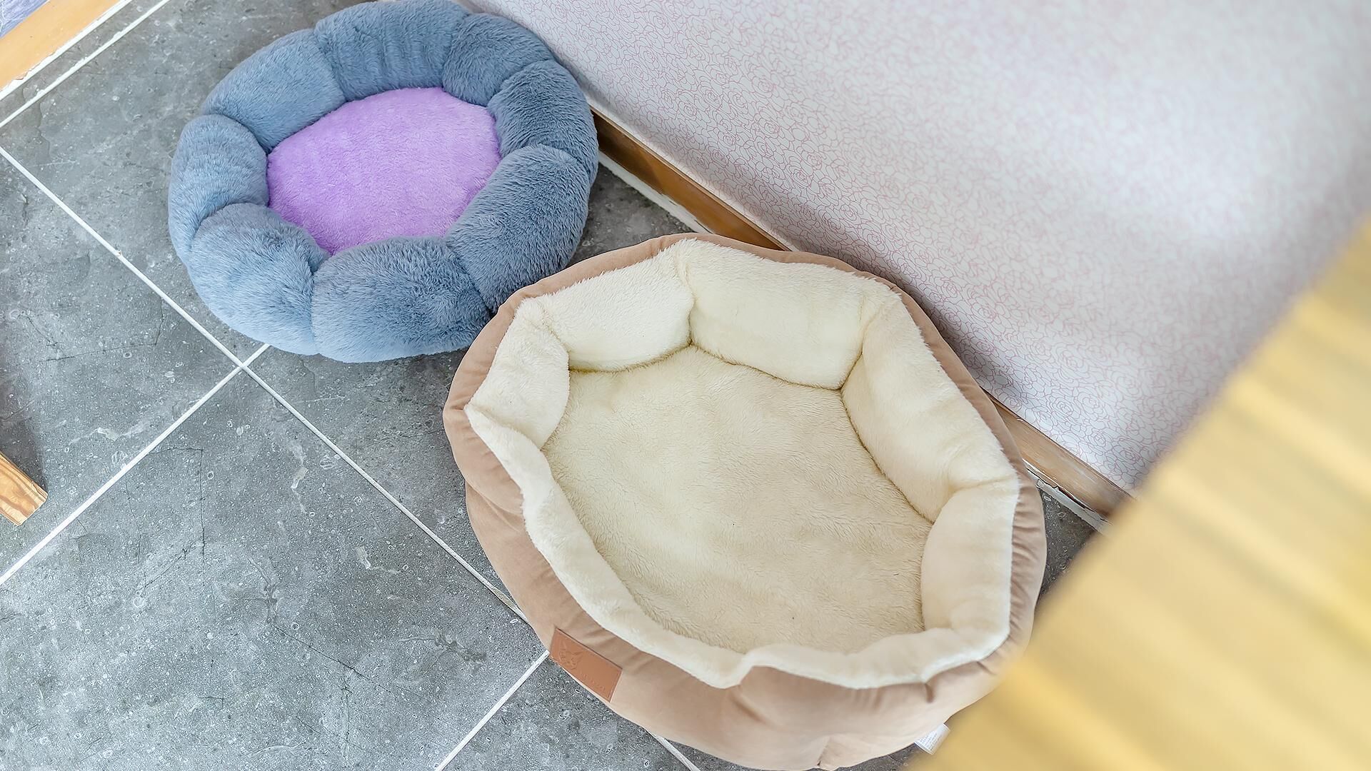 Chuncheon Dogandstay