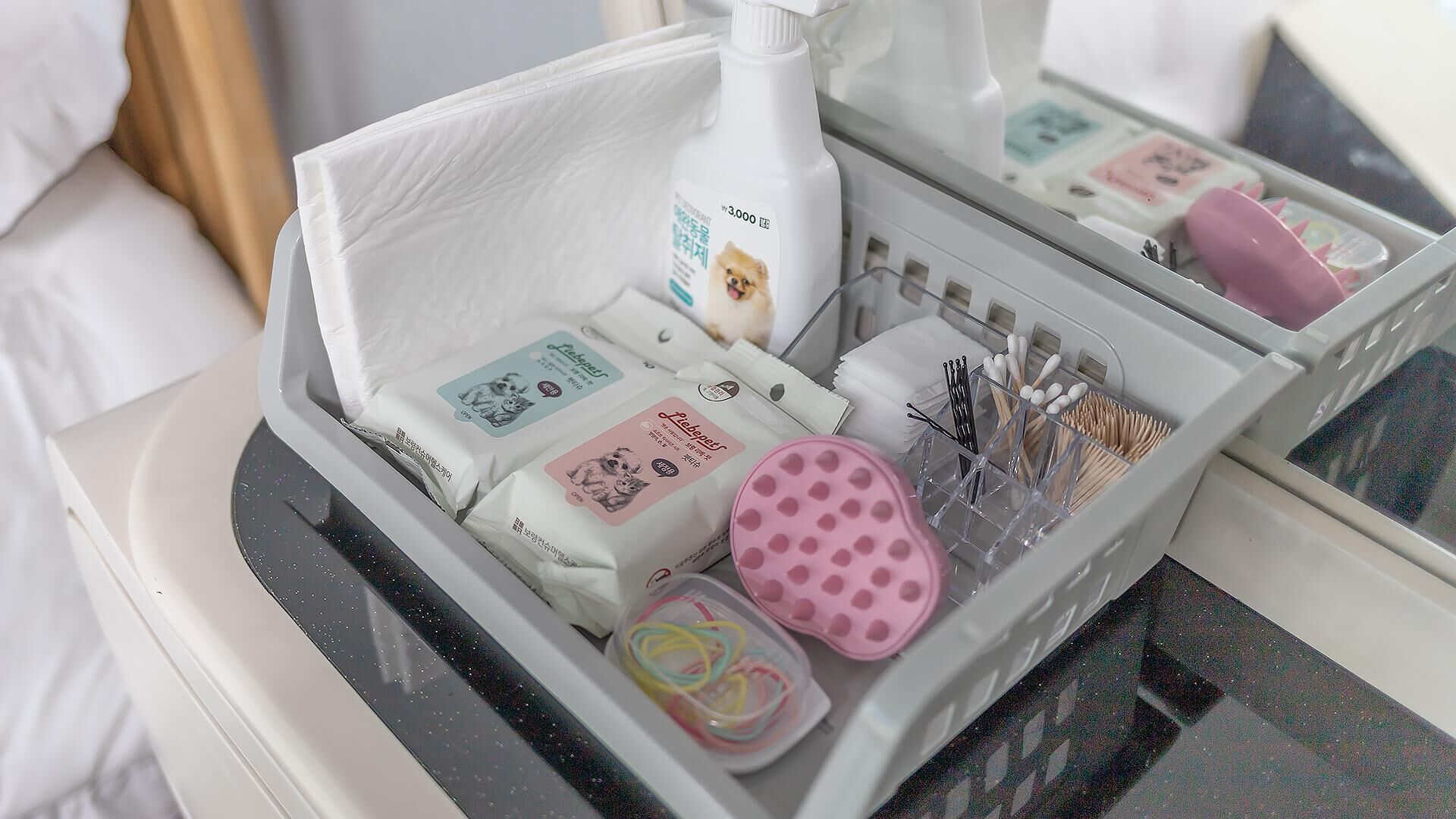 Chuncheon Dogandstay