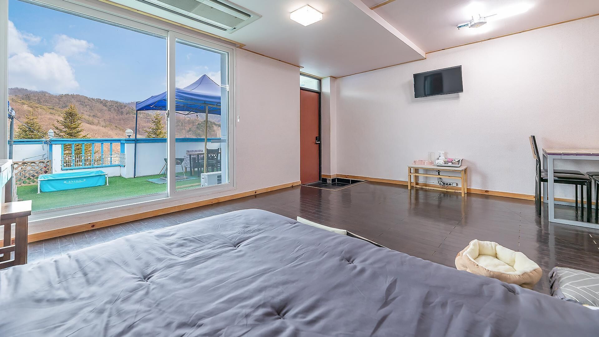 Chuncheon Dogandstay
