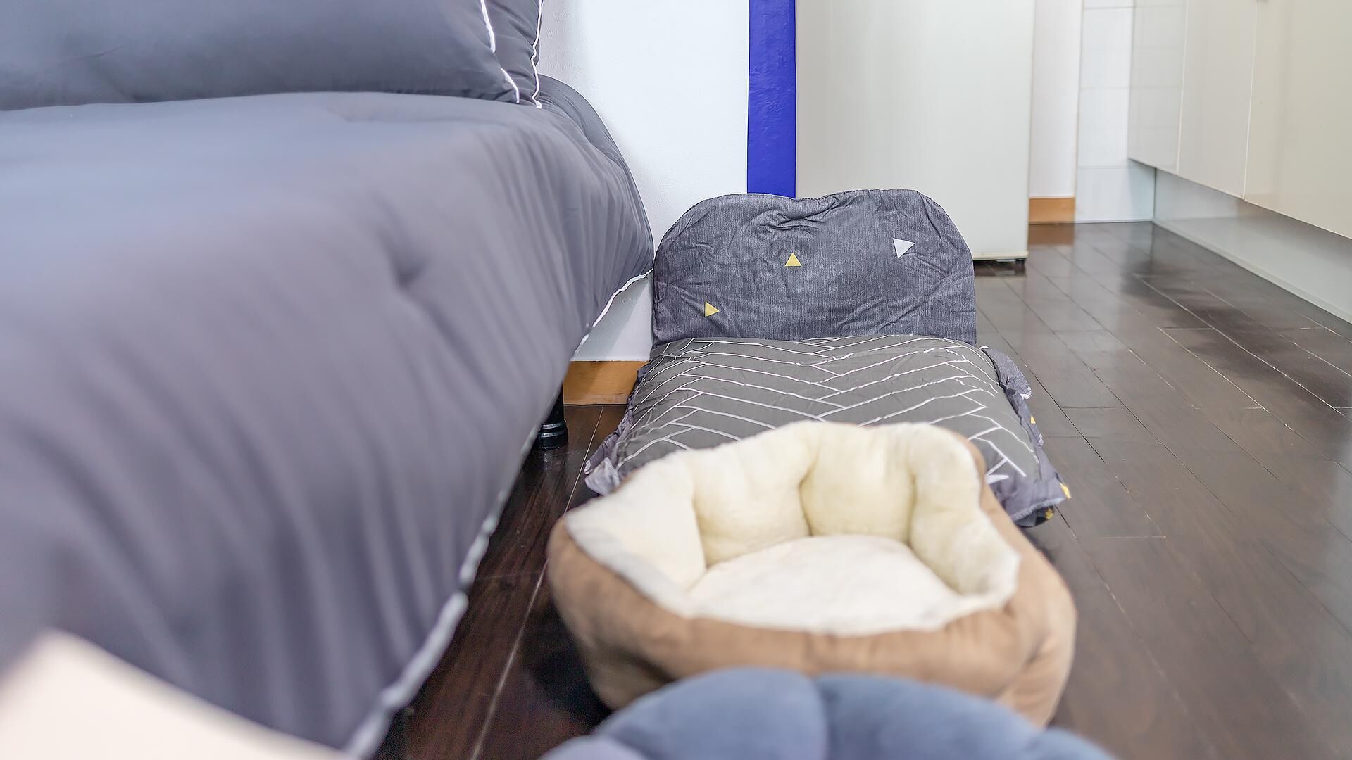 Chuncheon Dogandstay