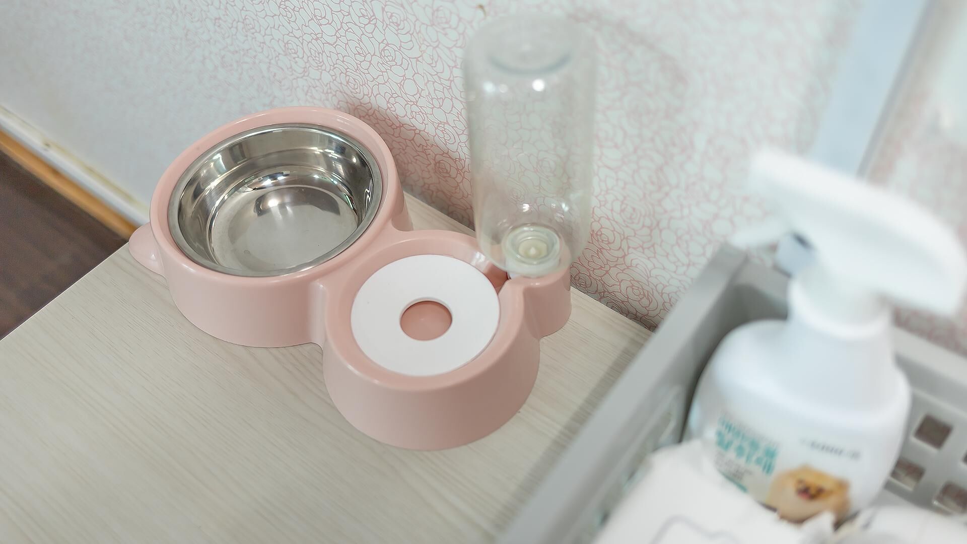 Chuncheon Dogandstay