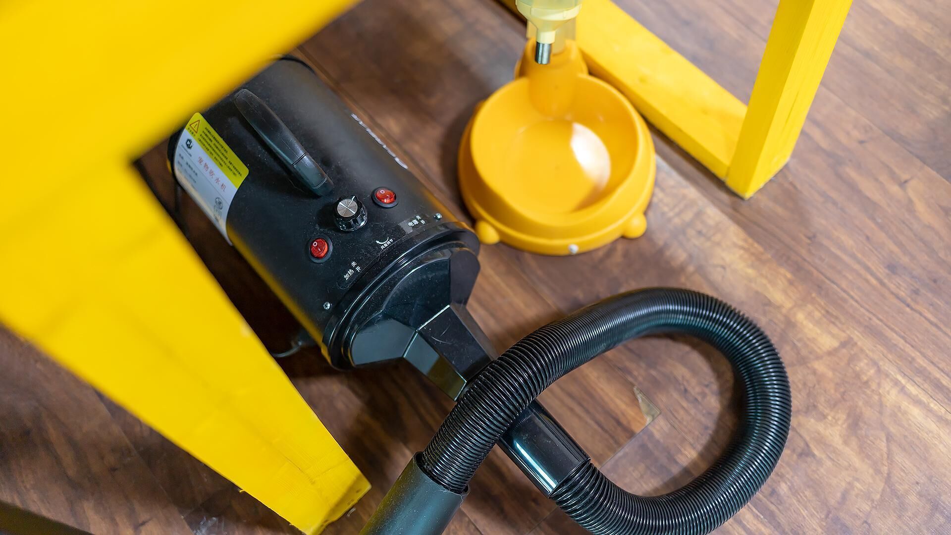 Chuncheon Dogandstay