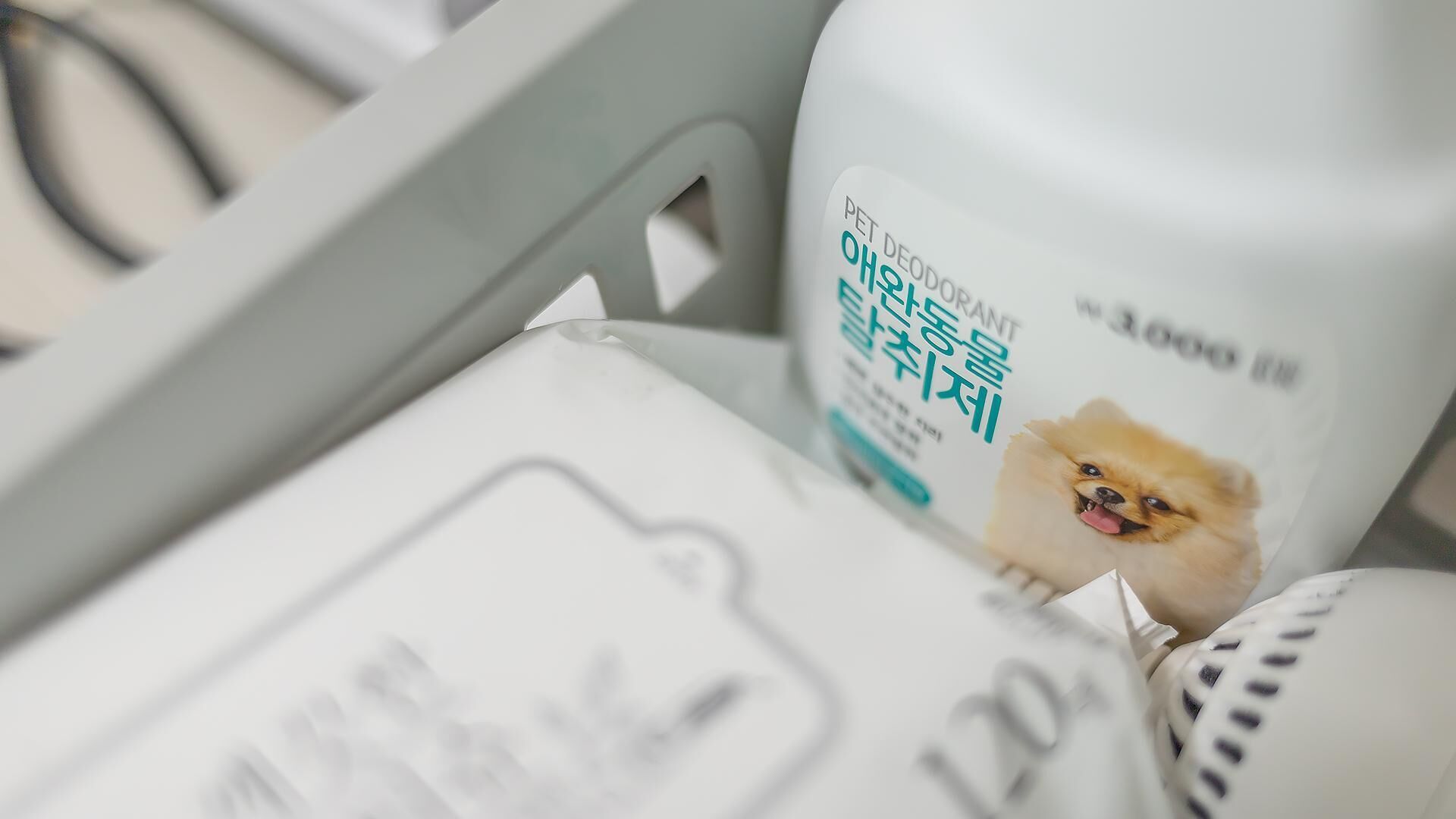 Chuncheon Dogandstay