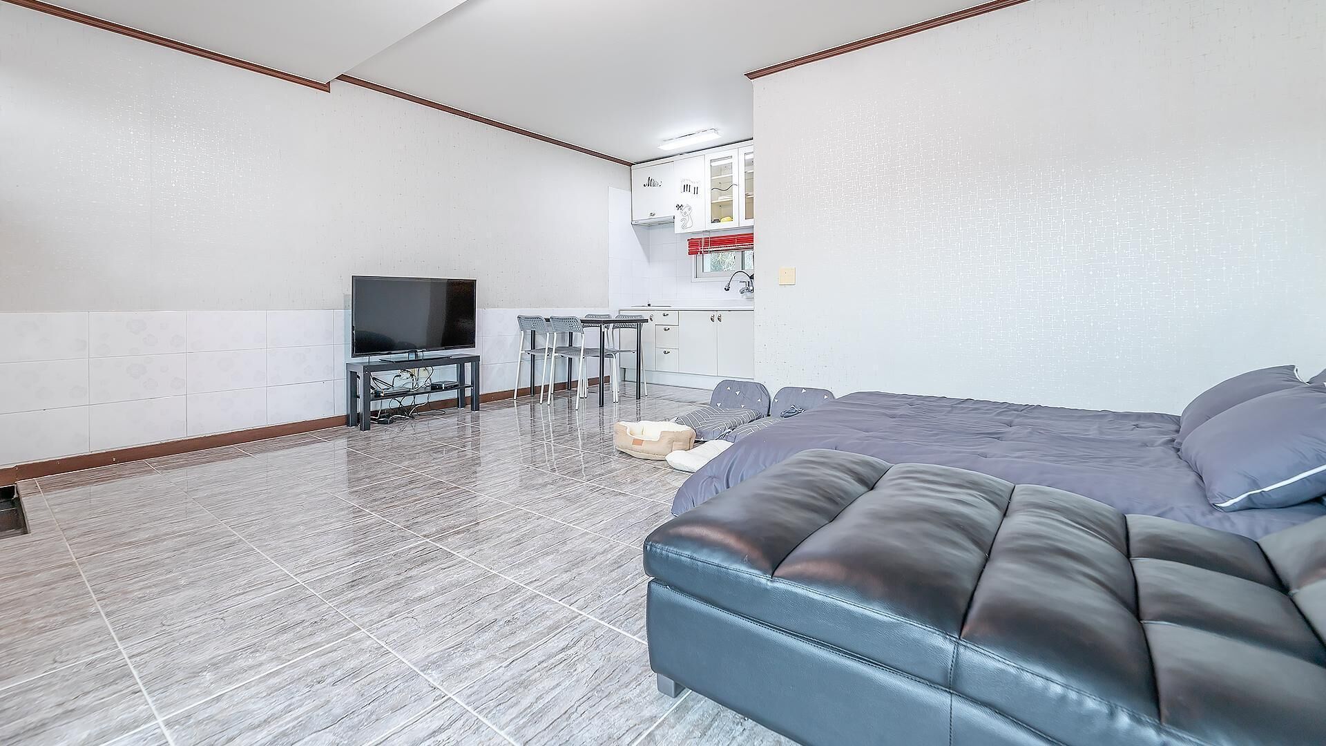 Chuncheon Dogandstay