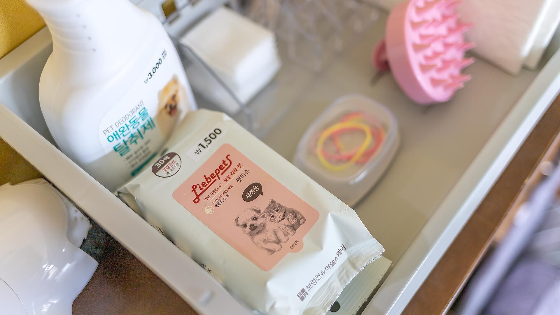 Chuncheon Dogandstay