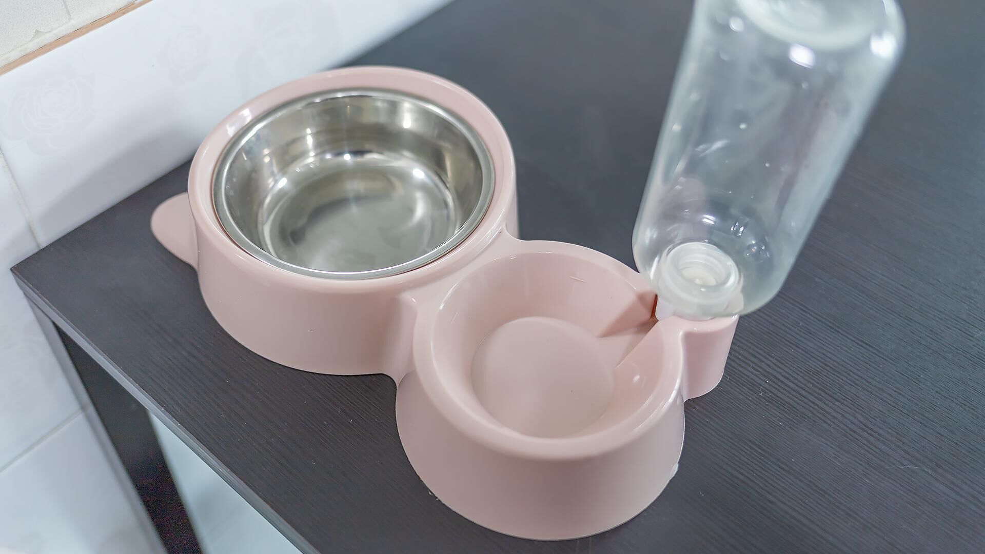 Chuncheon Dogandstay