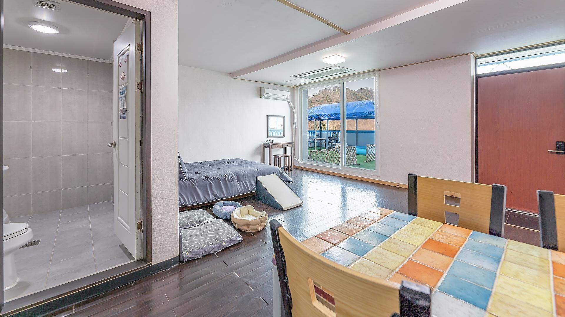 Chuncheon Dogandstay