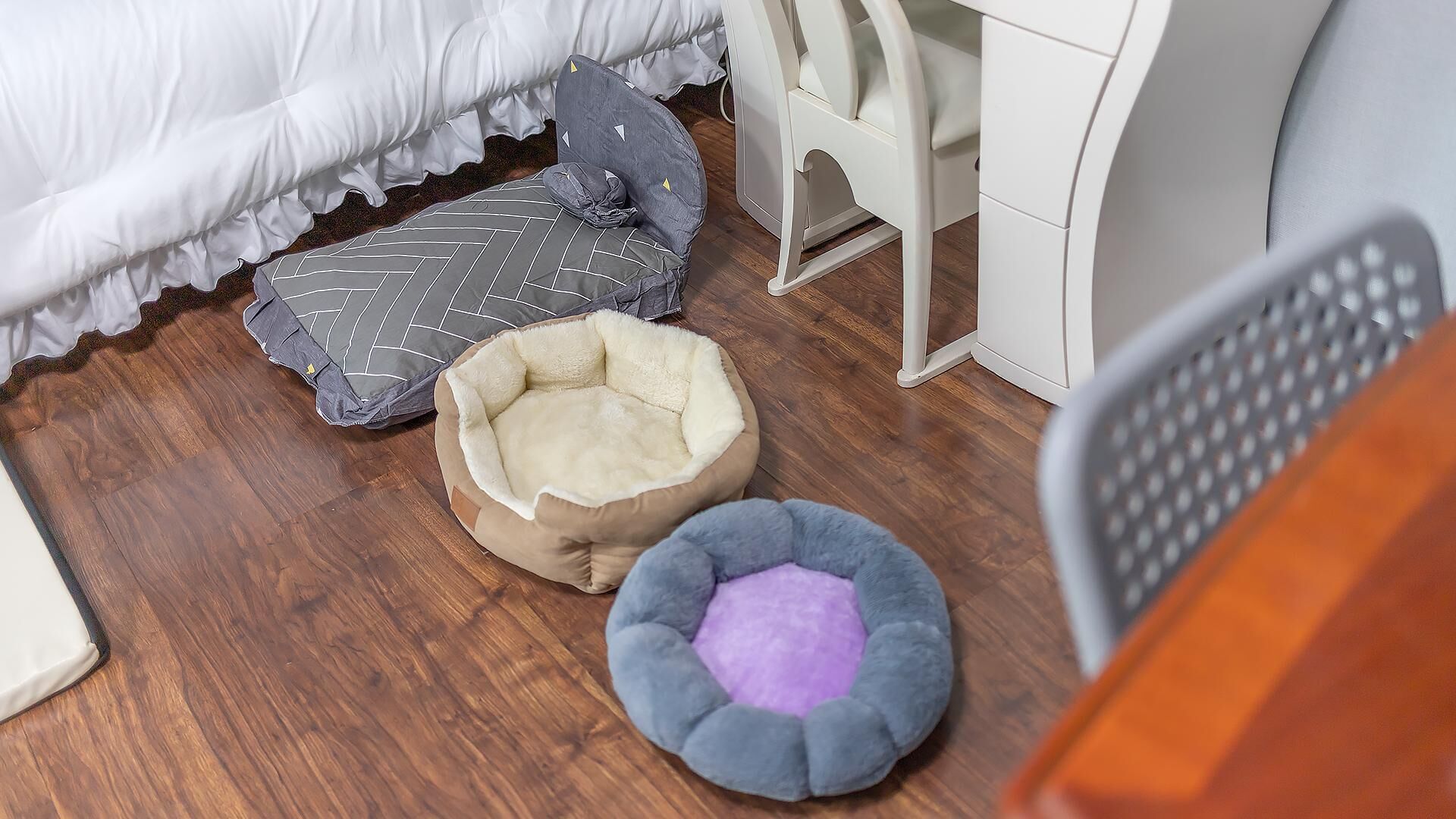 Chuncheon Dogandstay