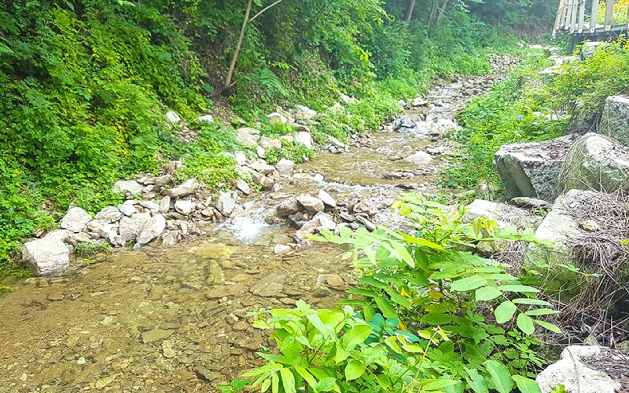 Chuncheon Gangchon Sky Pension