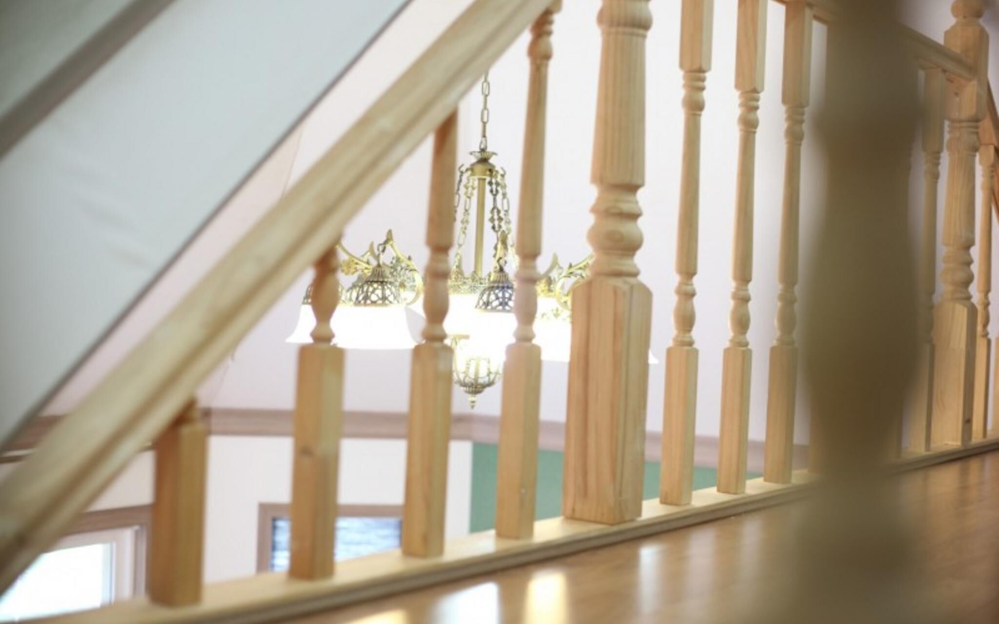 Chuncheon Pet Island Pension