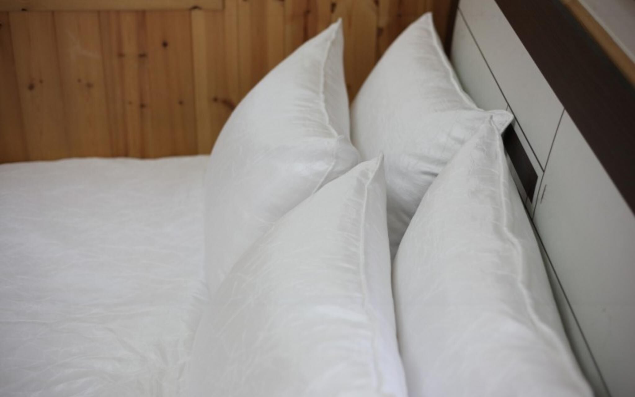 Chuncheon Pet Island Pension