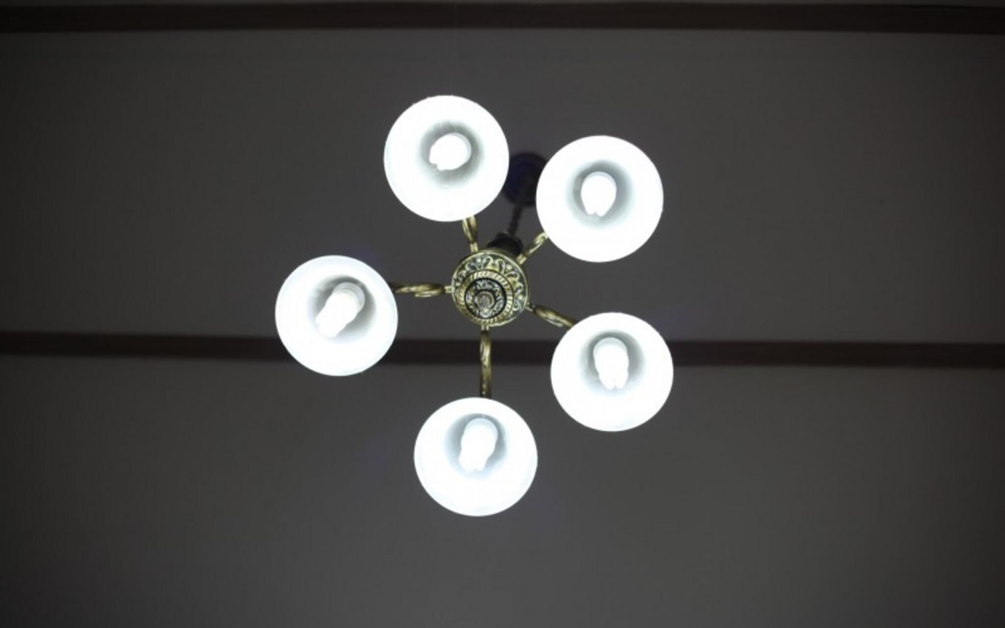 Chuncheon Pet Island Pension