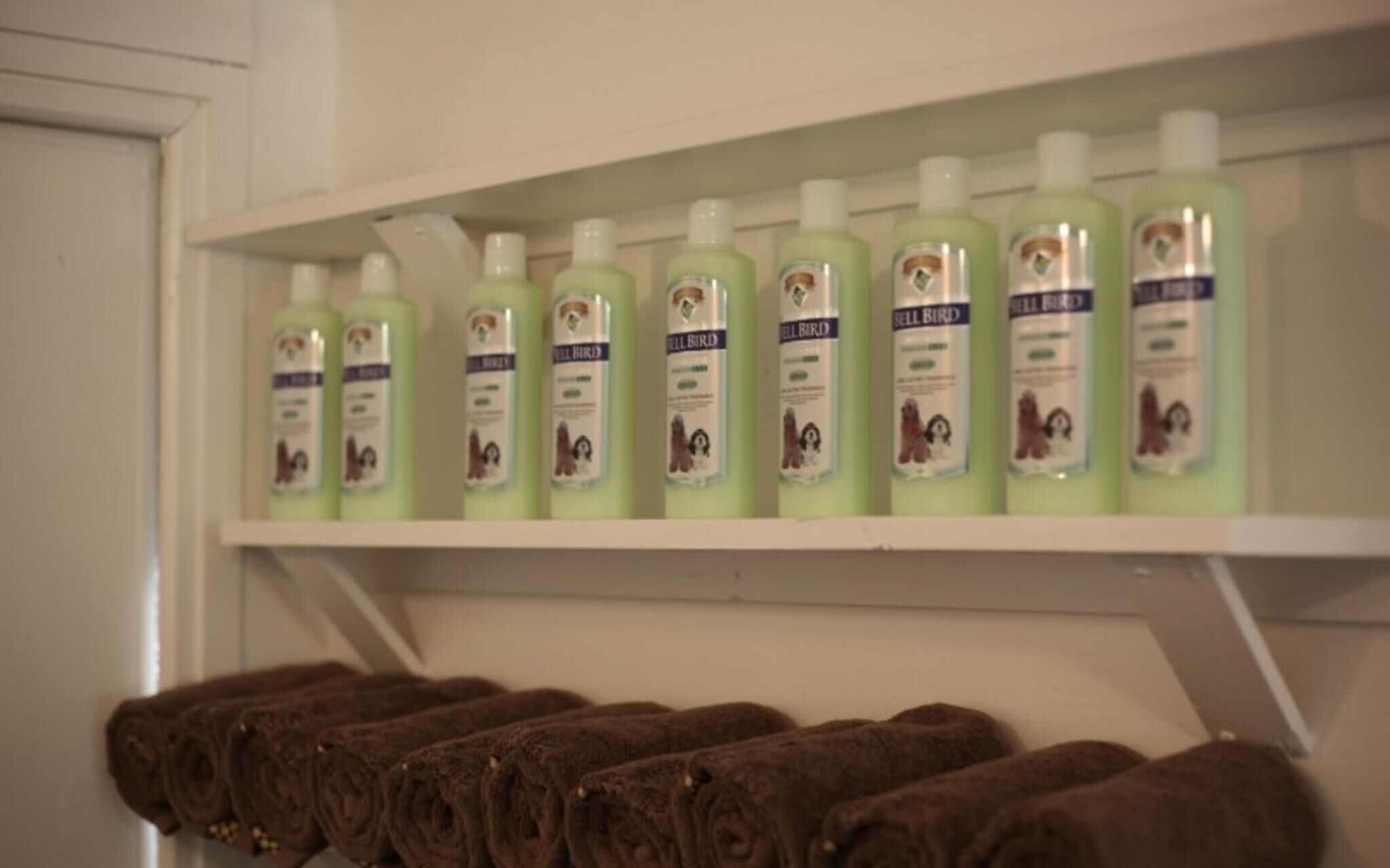 Chuncheon Pet Island Pension