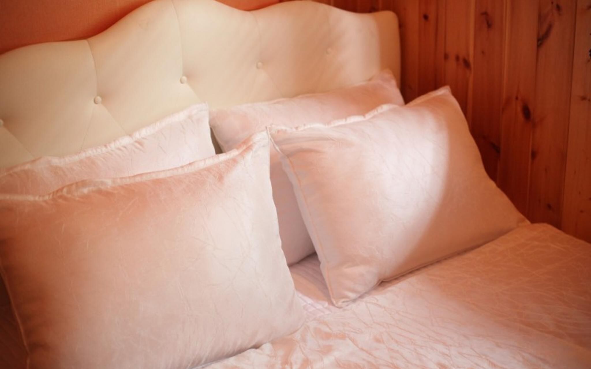 Chuncheon Pet Island Pension