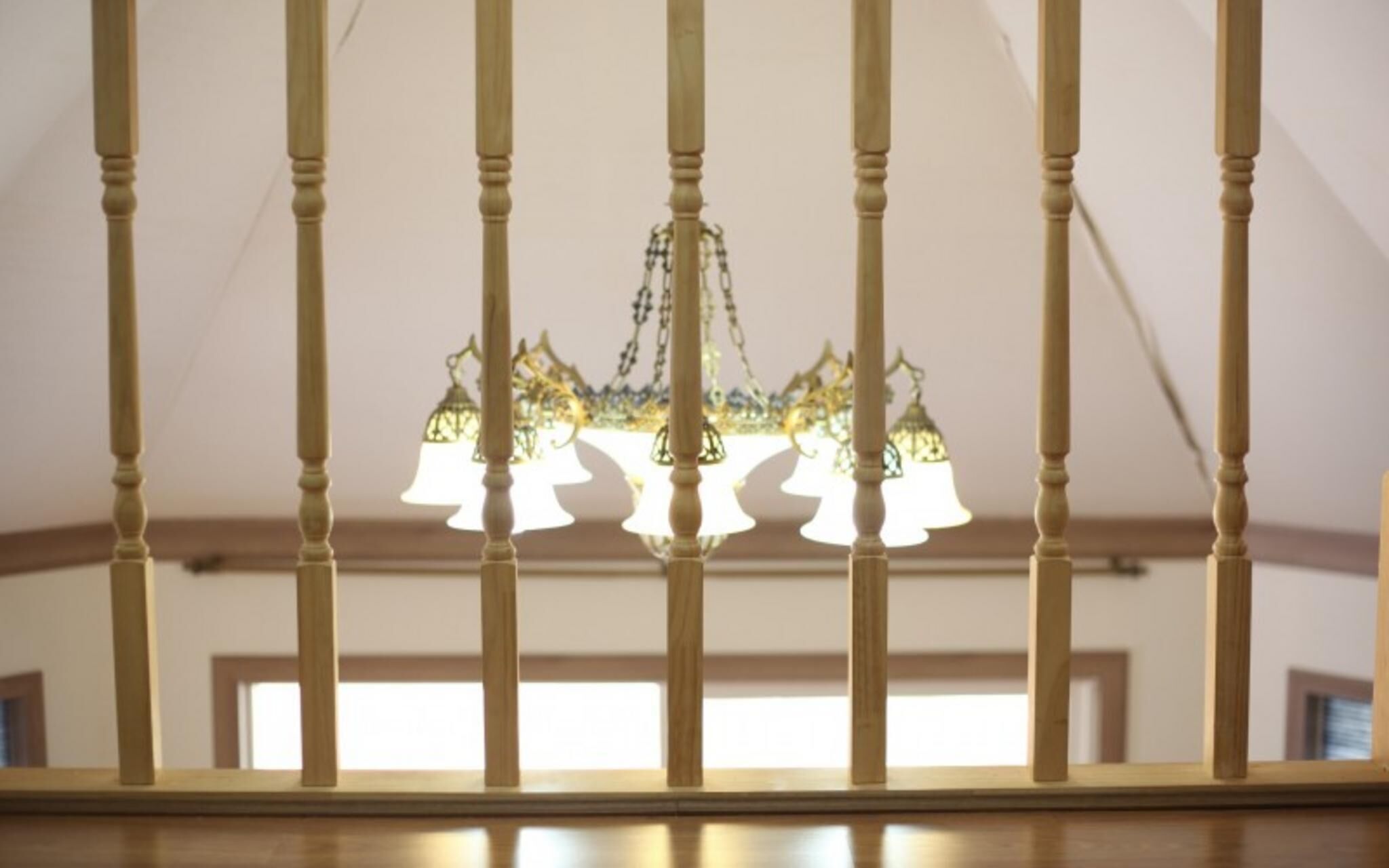 Chuncheon Pet Island Pension