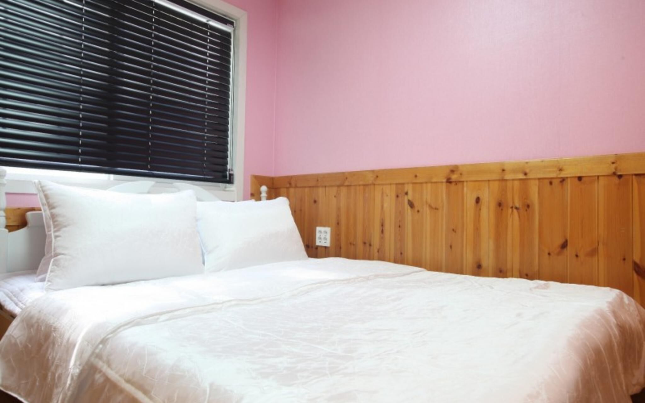 Chuncheon Pet Island Pension