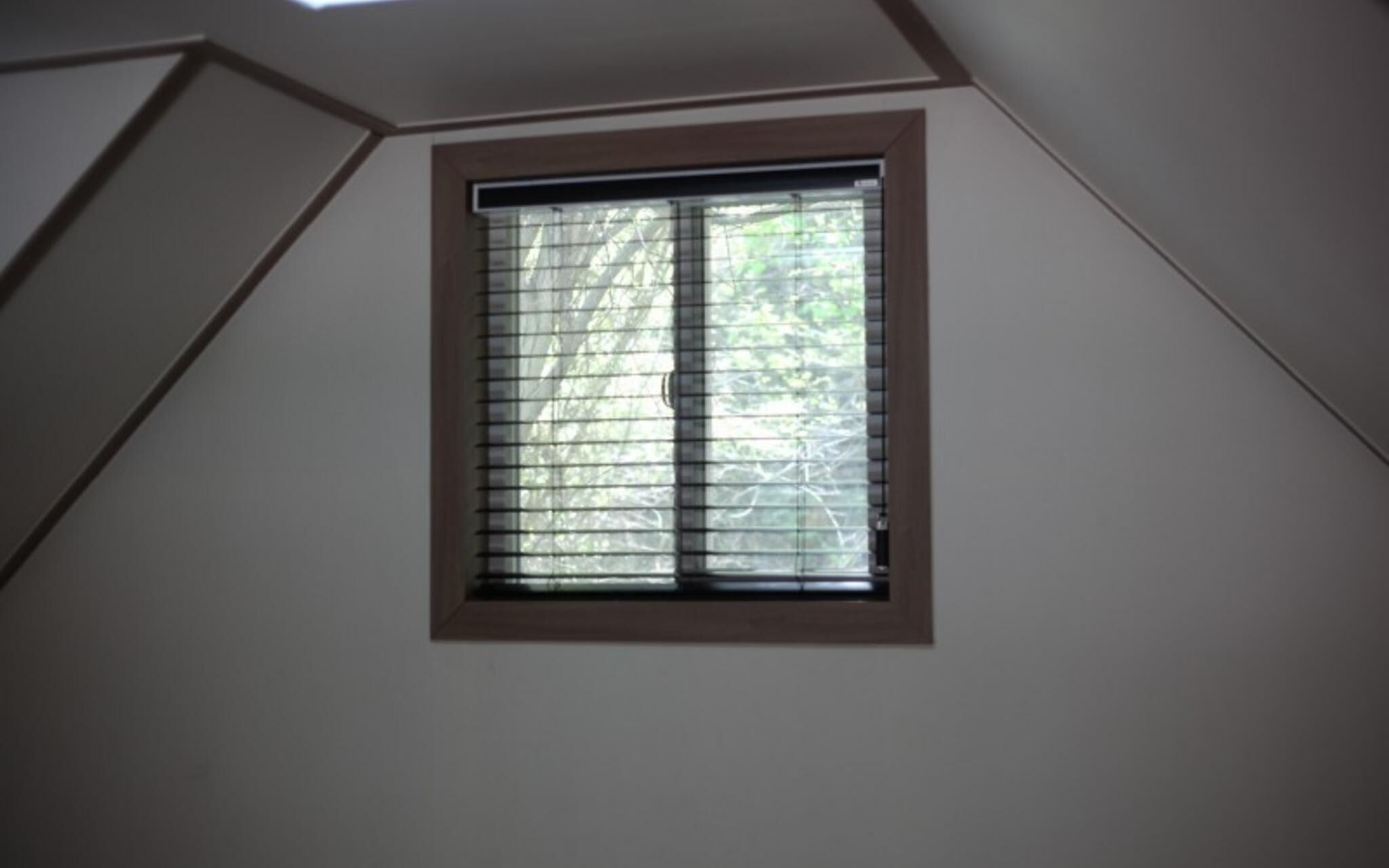 Chuncheon Pet Island Pension