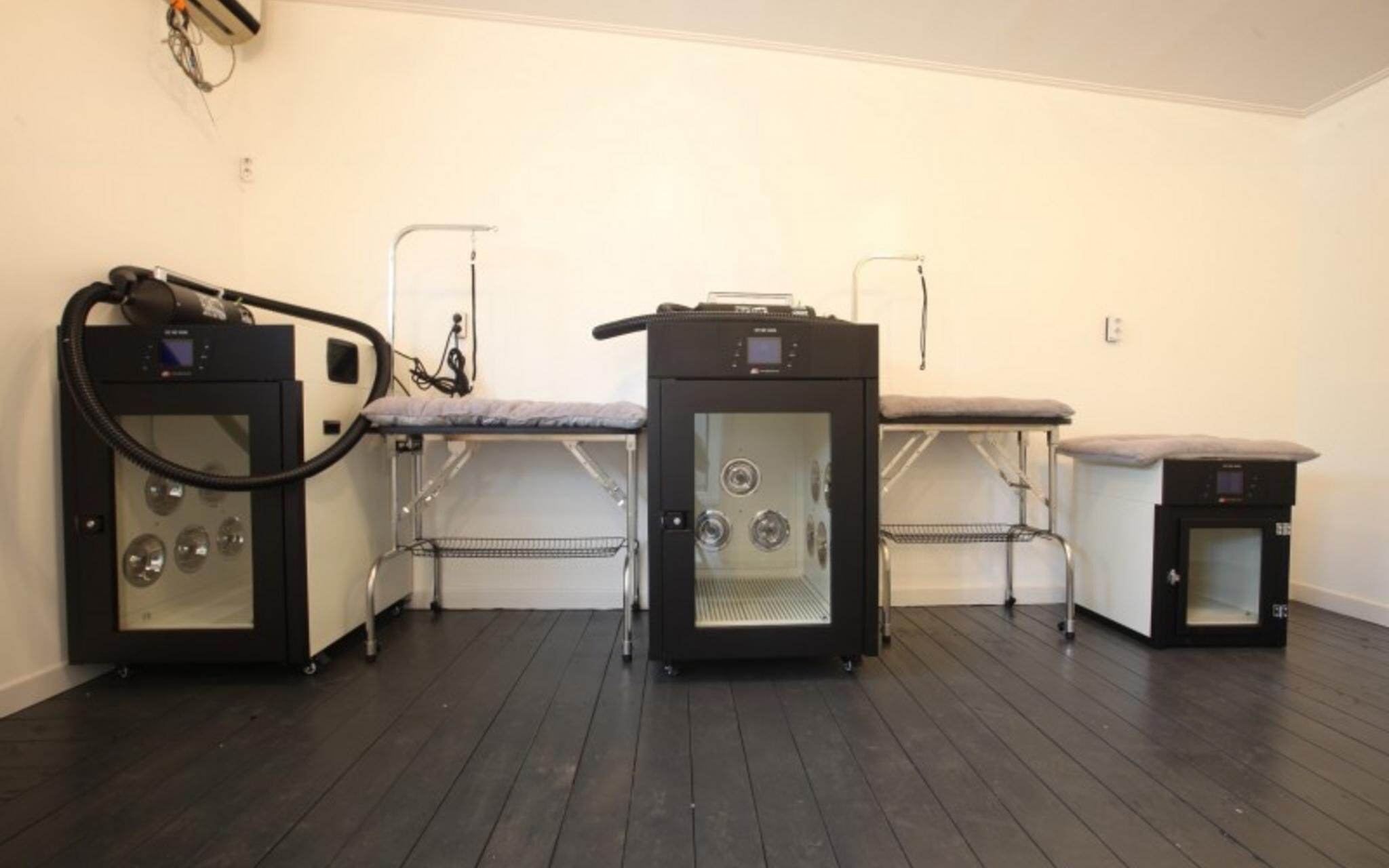 Chuncheon Pet Island Pension