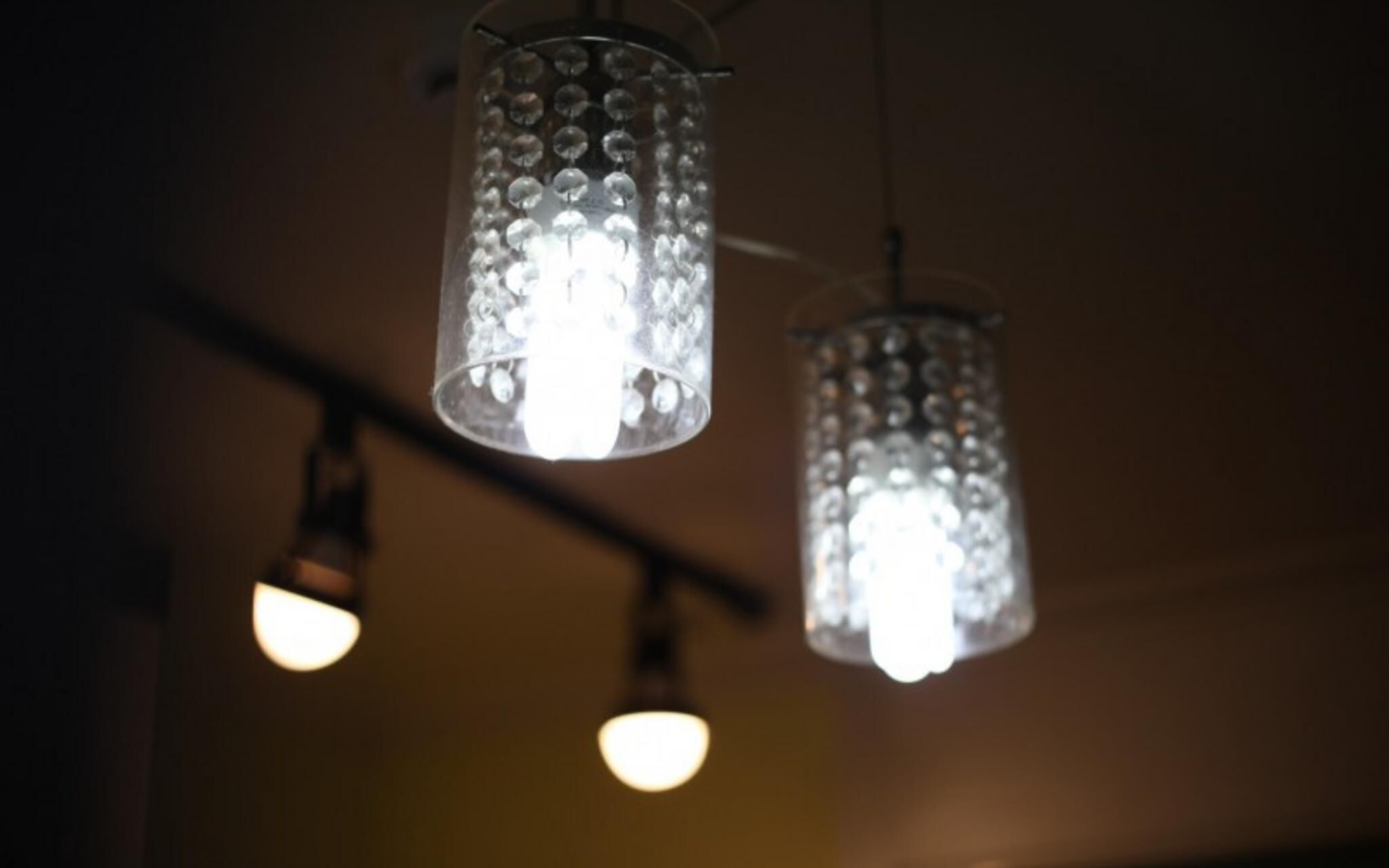 Chuncheon Pet Island Pension