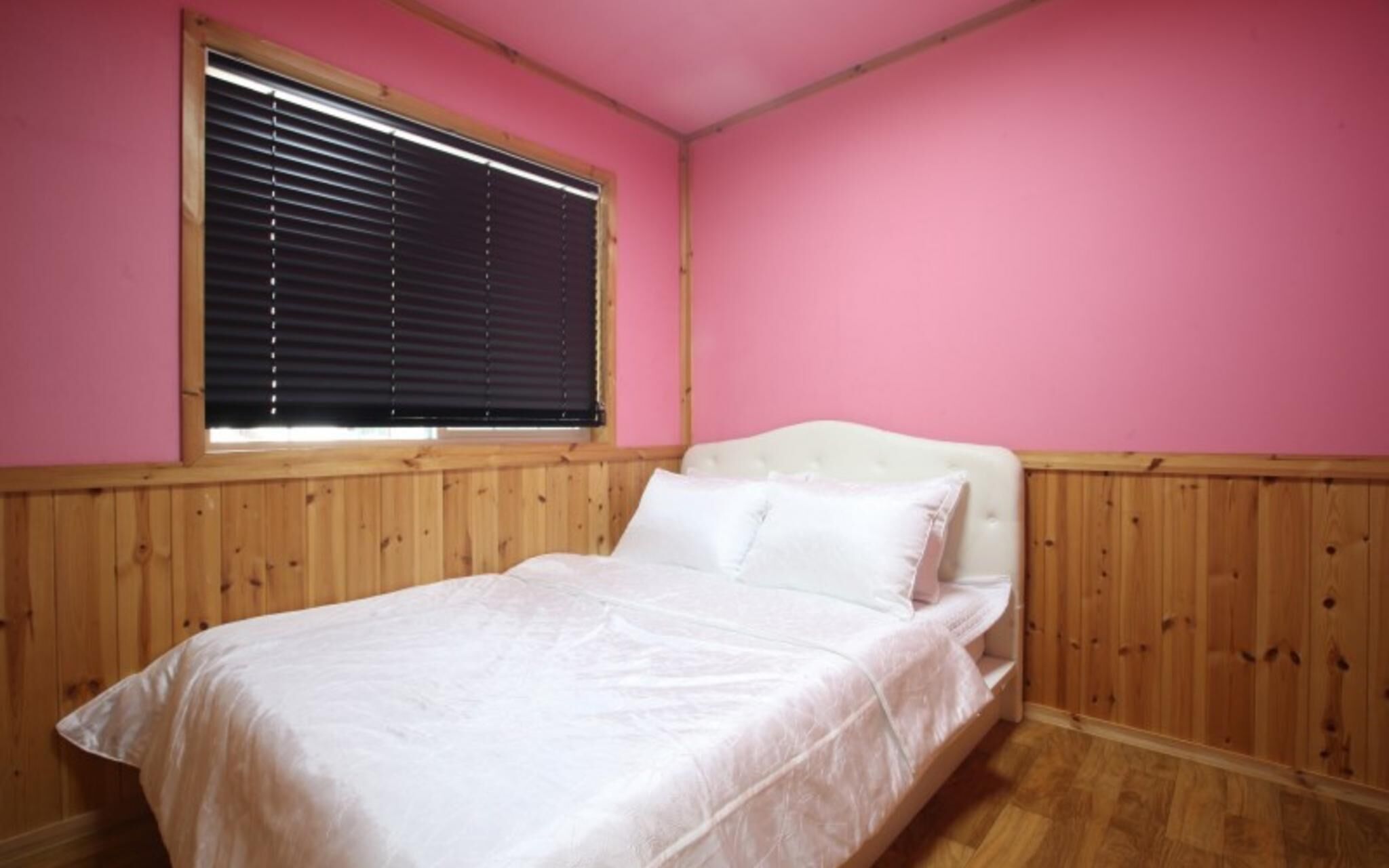 Chuncheon Pet Island Pension