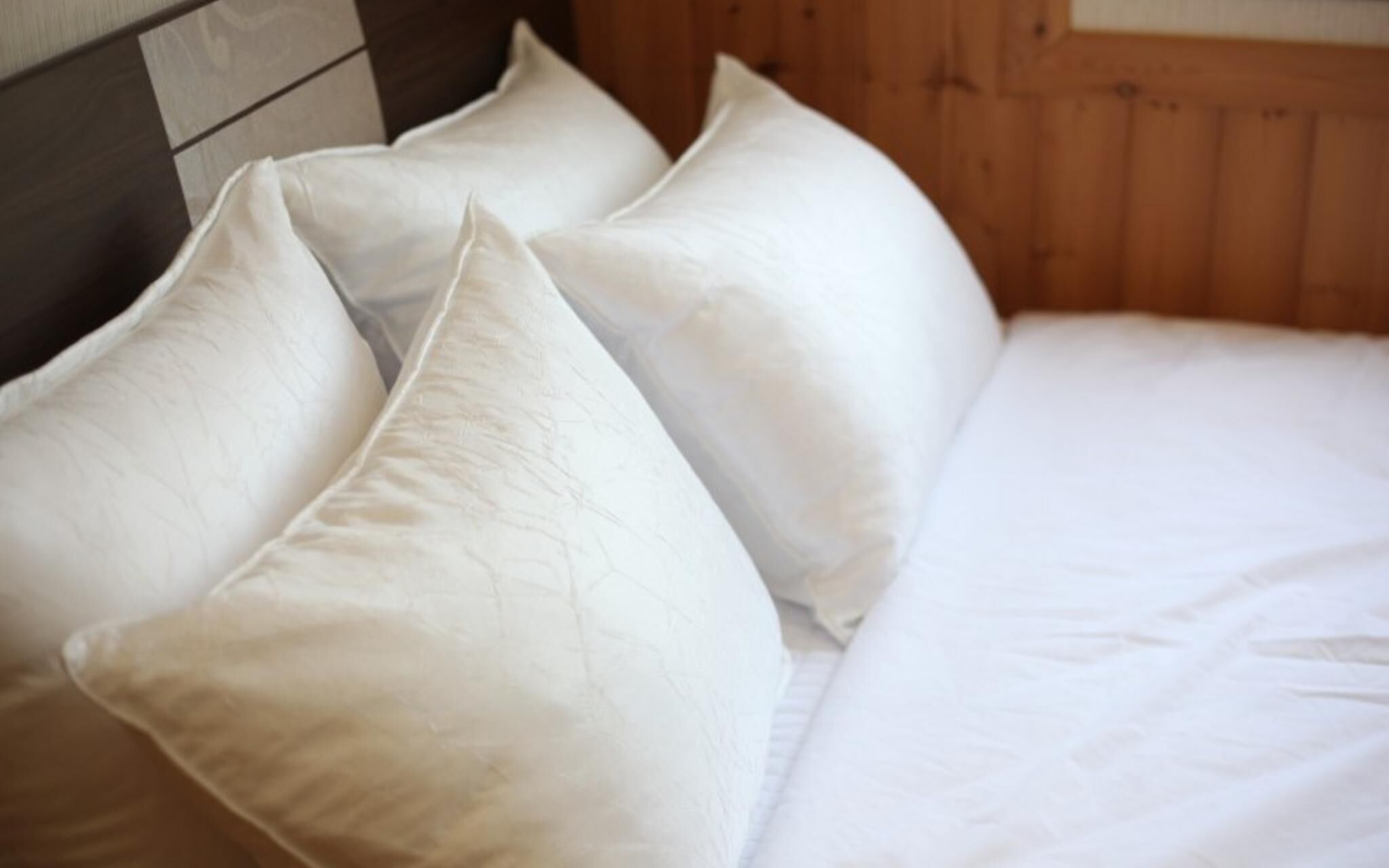 Chuncheon Pet Island Pension