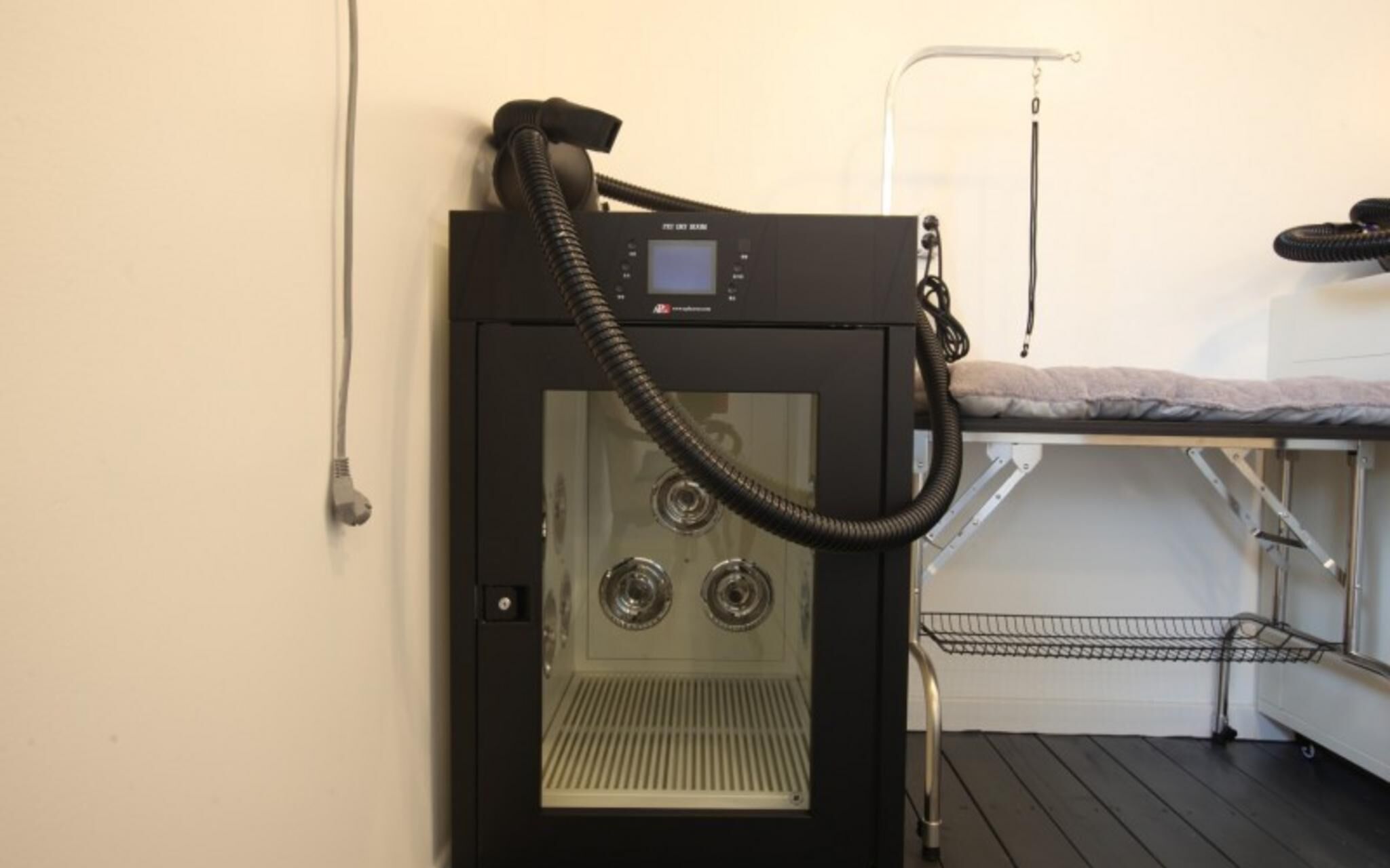 Chuncheon Pet Island Pension