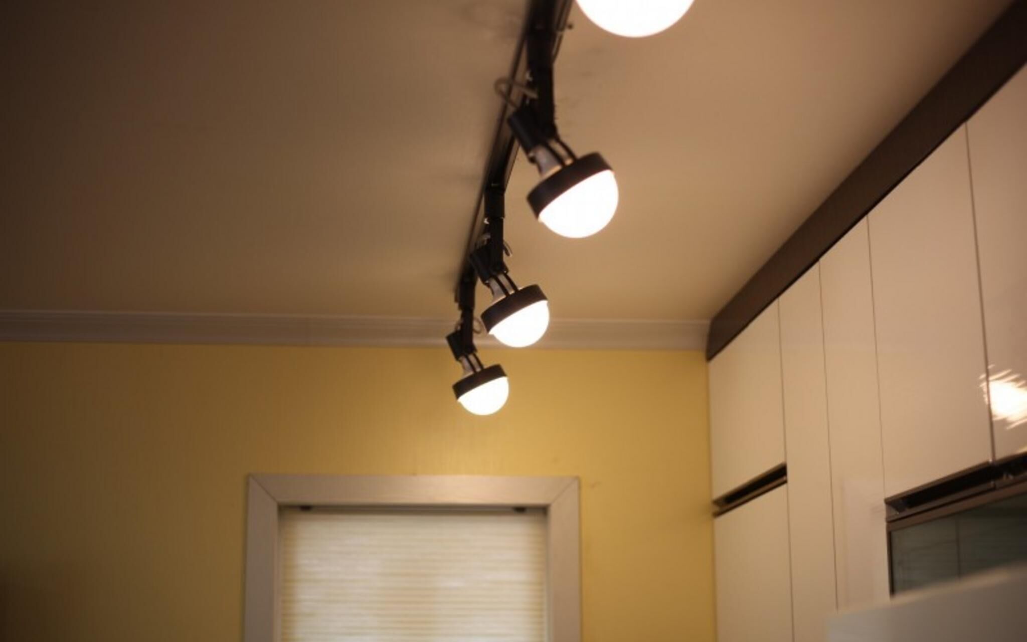 Chuncheon Pet Island Pension