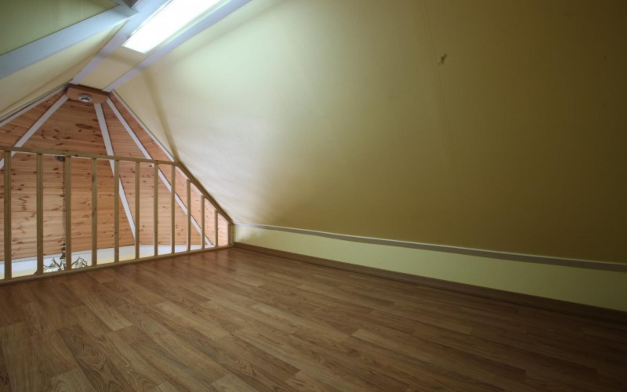 Chuncheon Pet Island Pension