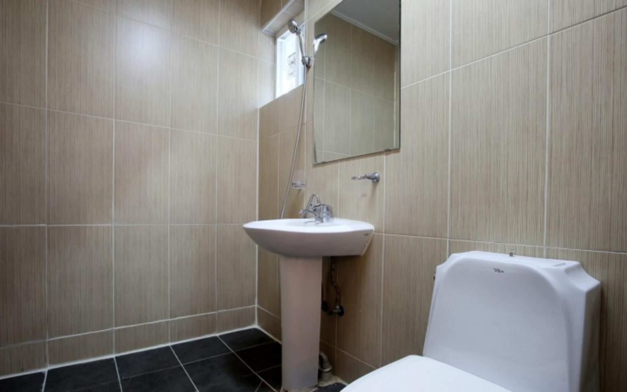 Chuncheon Pet Island Pension