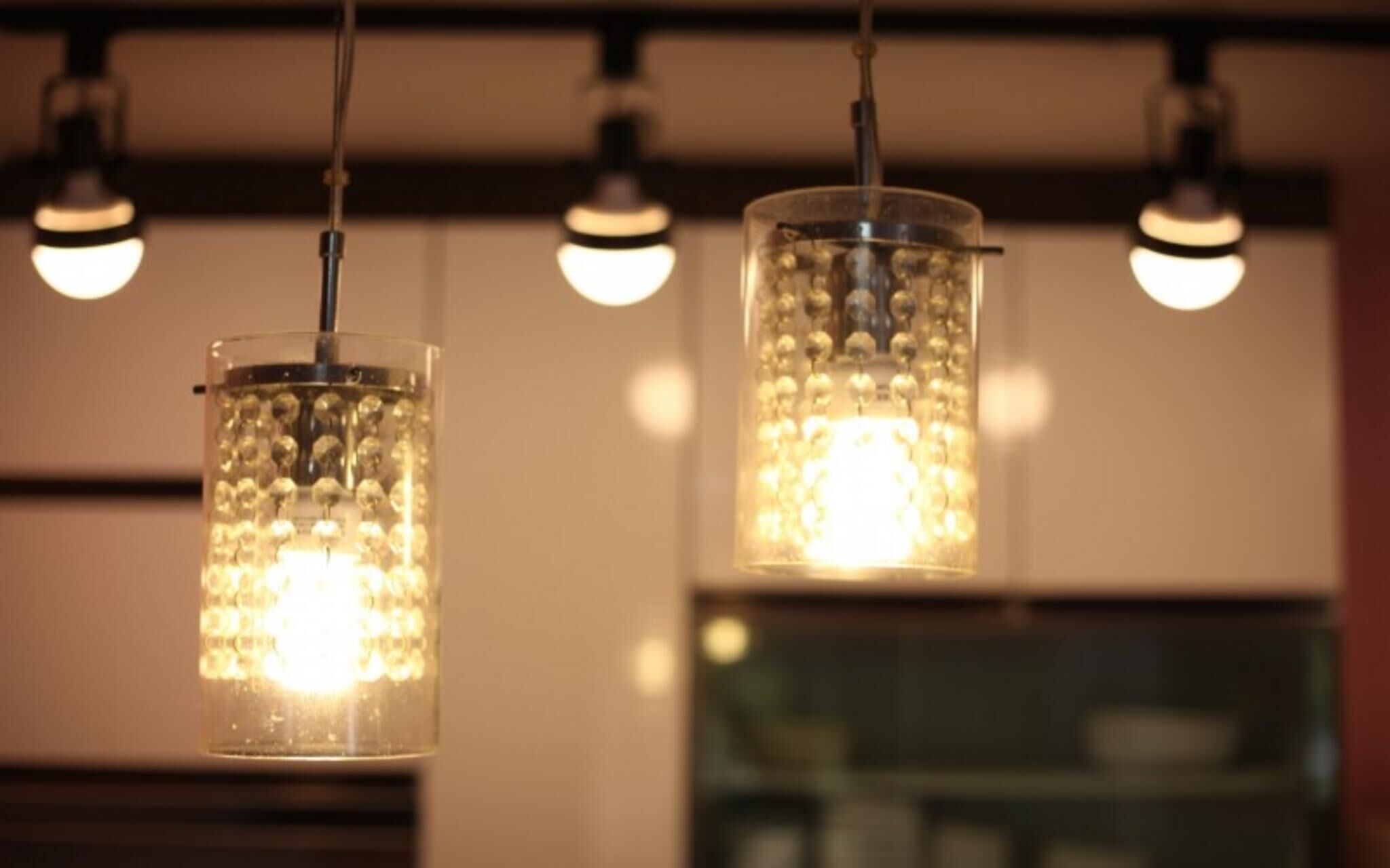 Chuncheon Pet Island Pension