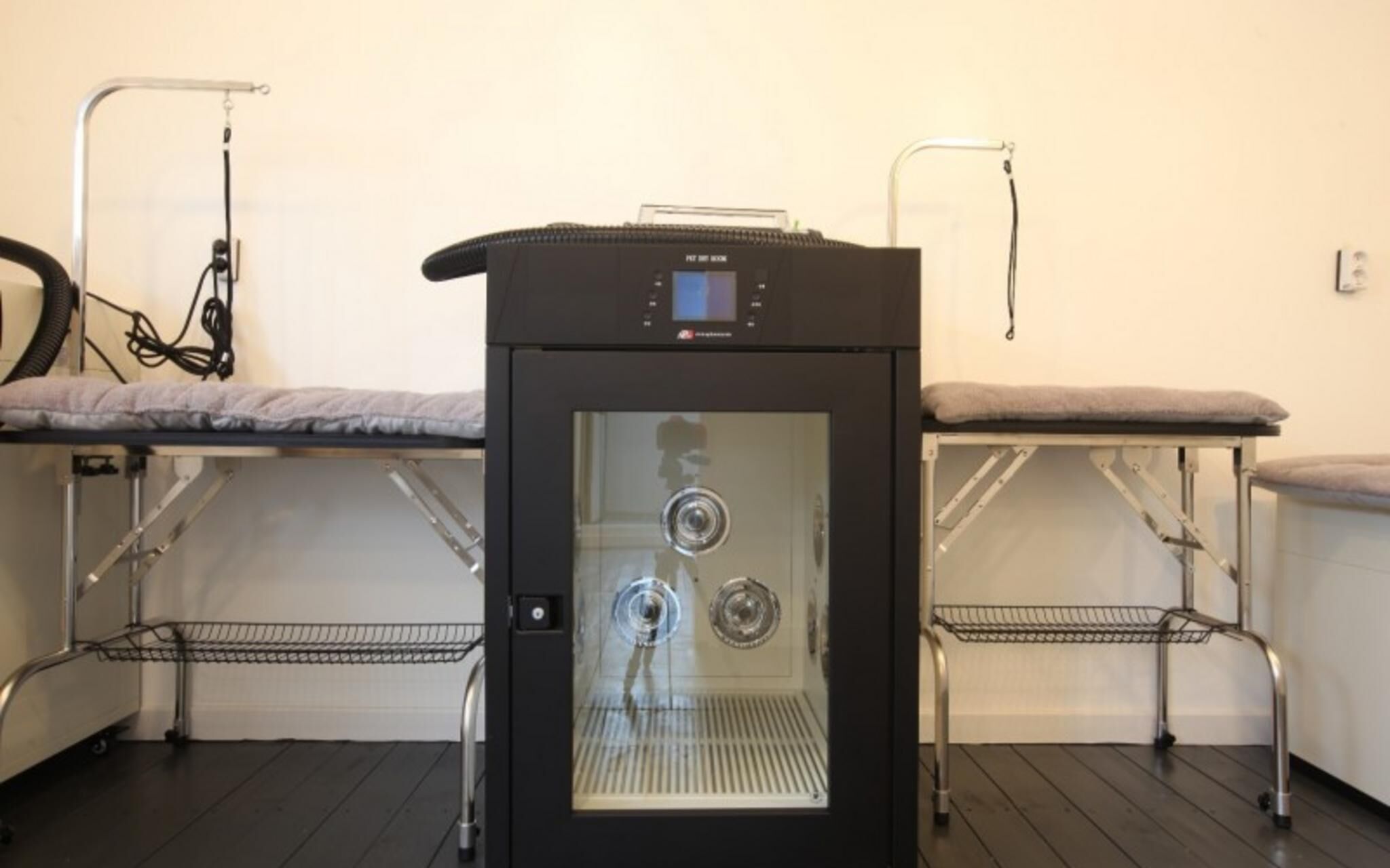 Chuncheon Pet Island Pension