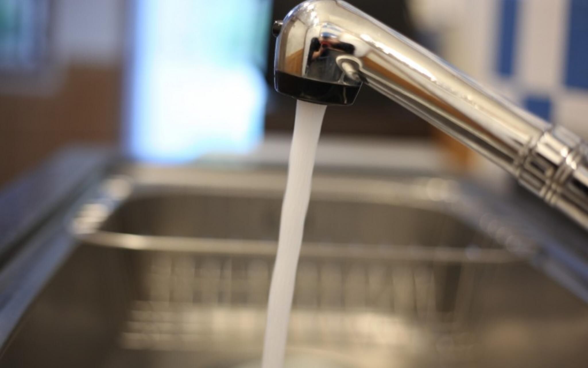 Chuncheon Pet Island Pension