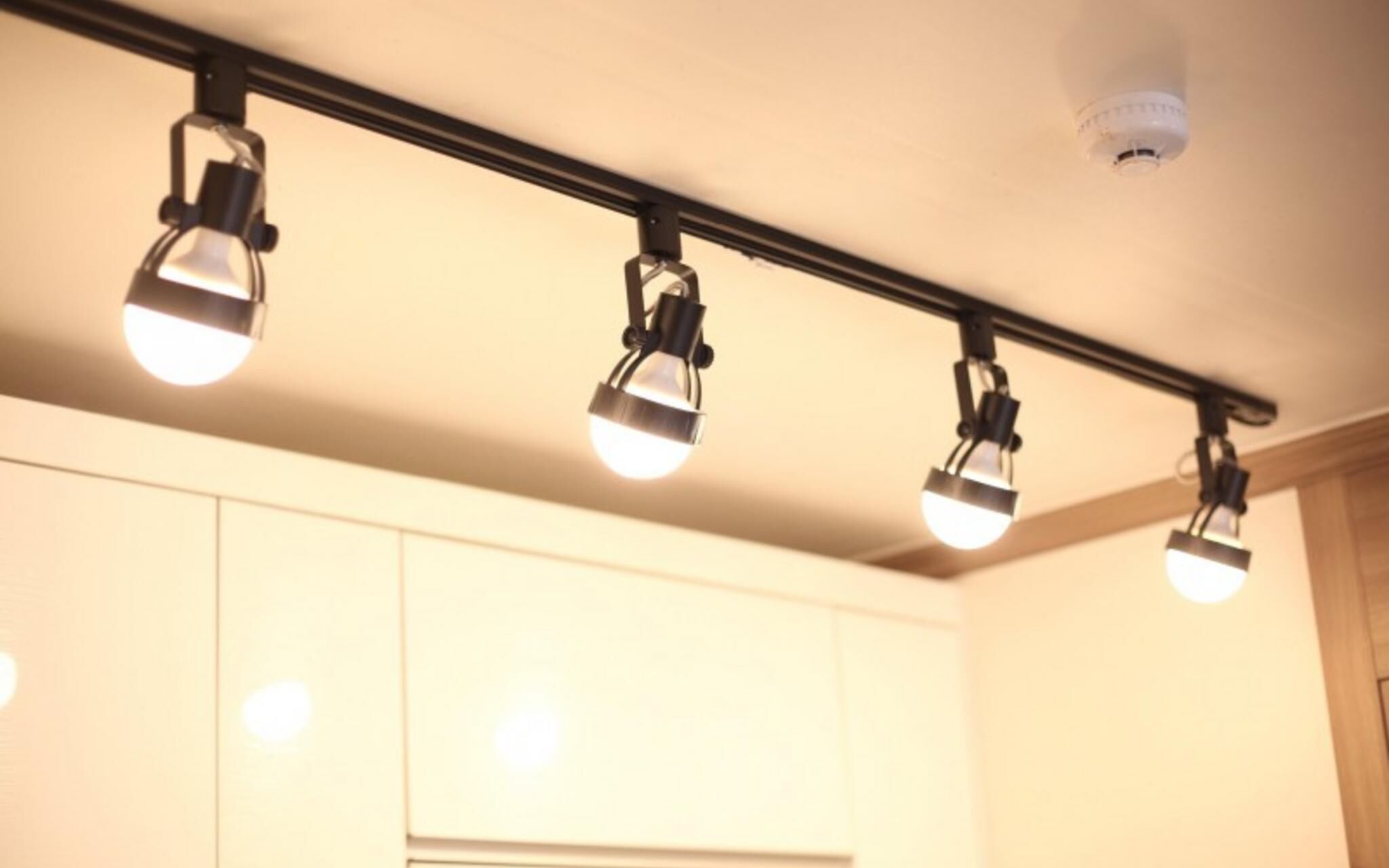 Chuncheon Pet Island Pension