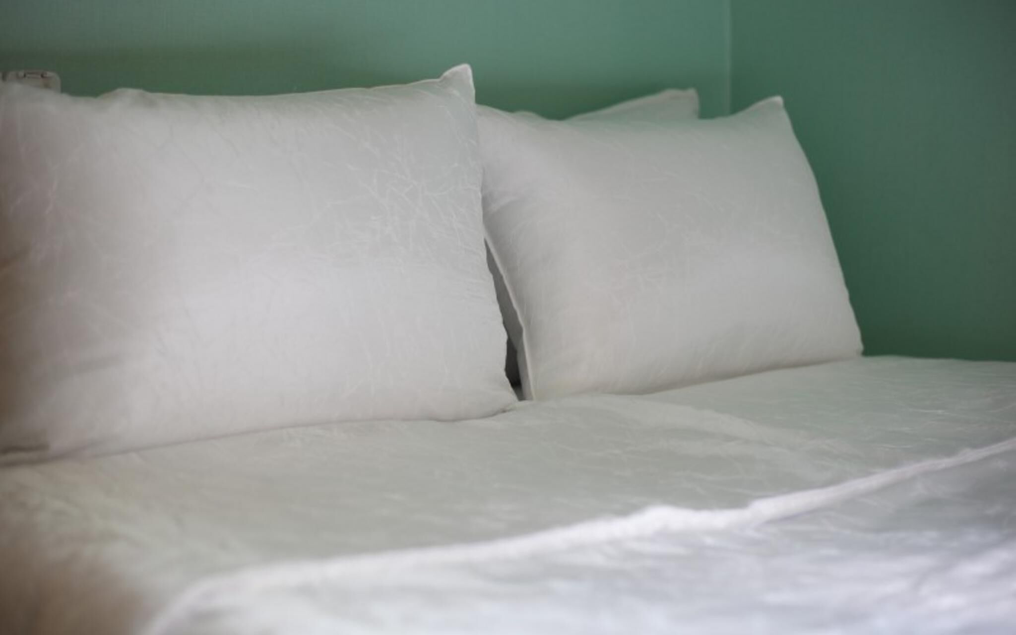 Chuncheon Pet Island Pension